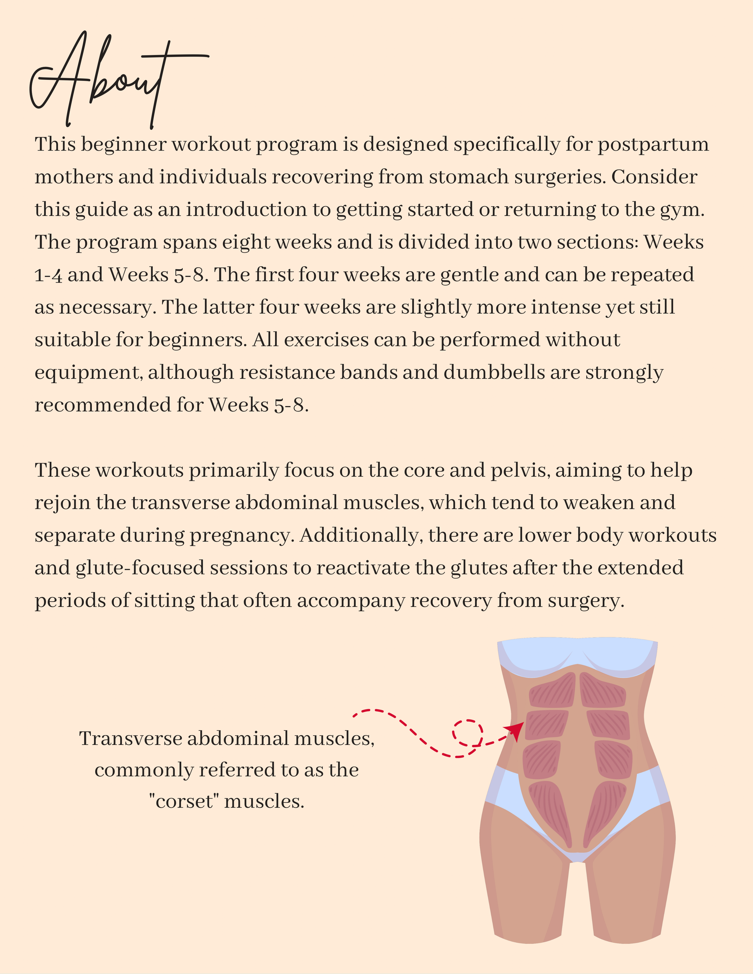 Postpartum Program - 2.png