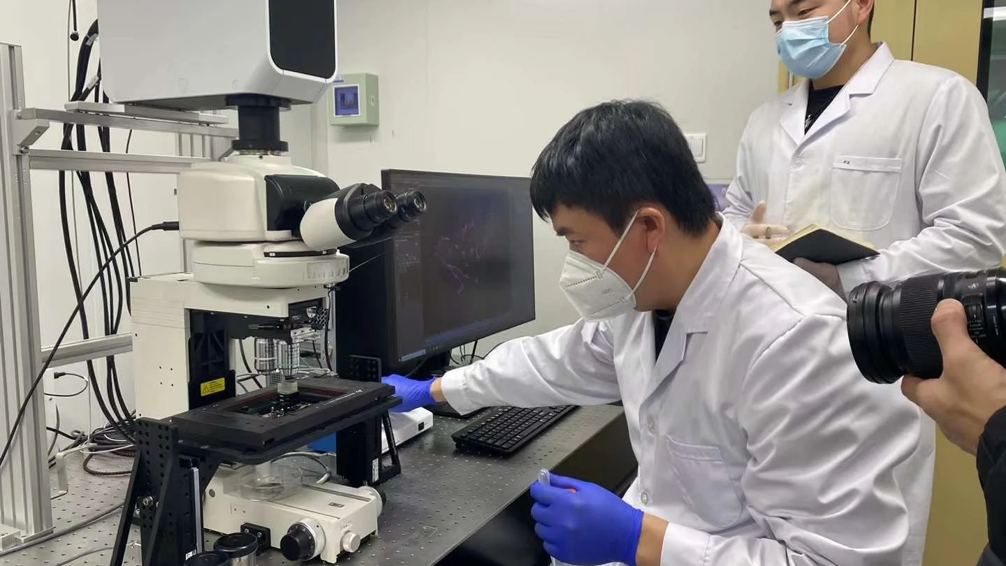 Scientists in lab coats and face masks working with a microscope in a laboratory setting.