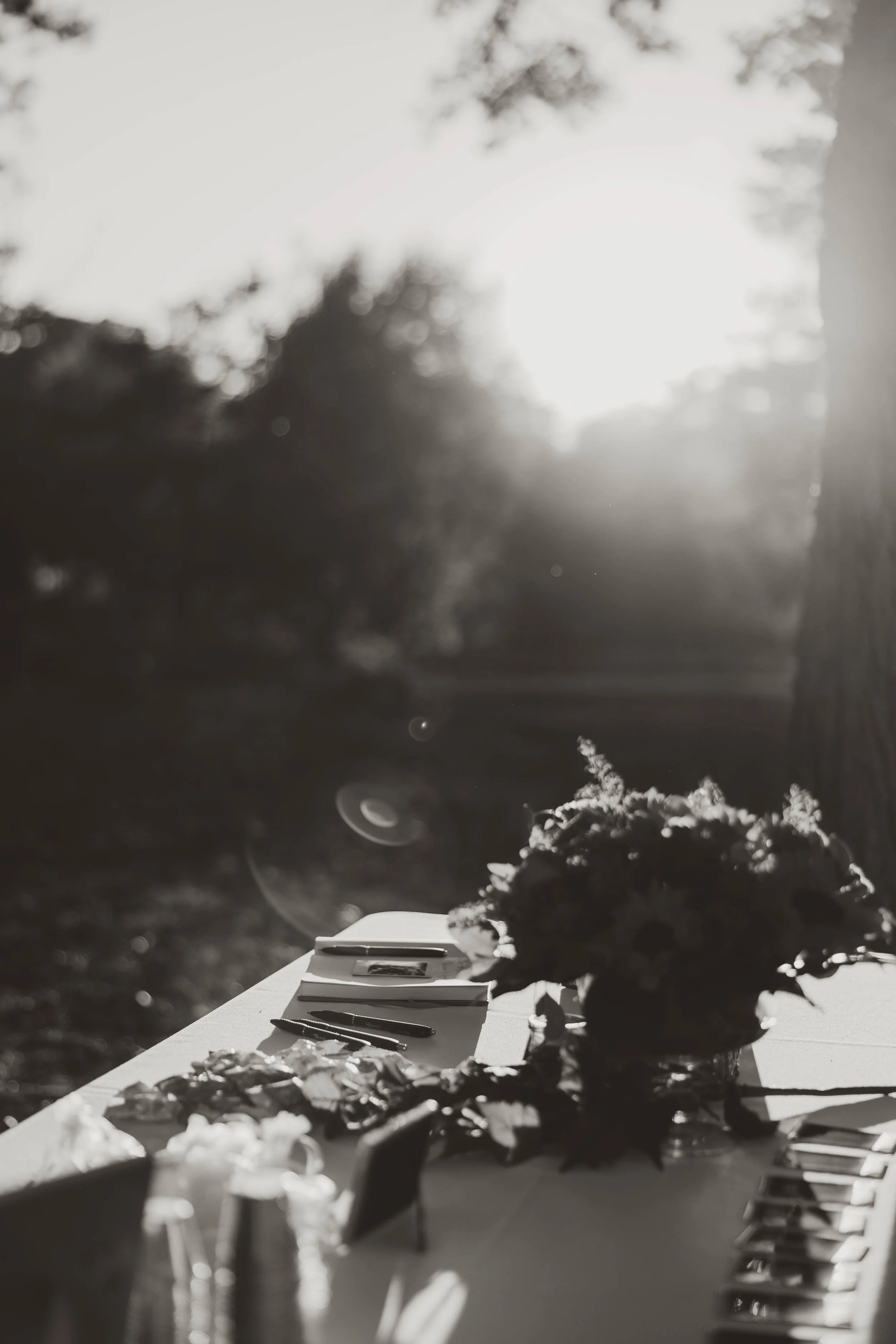 ElopementPhotographerWorcesterMassachusetts (10 of 15).JPG