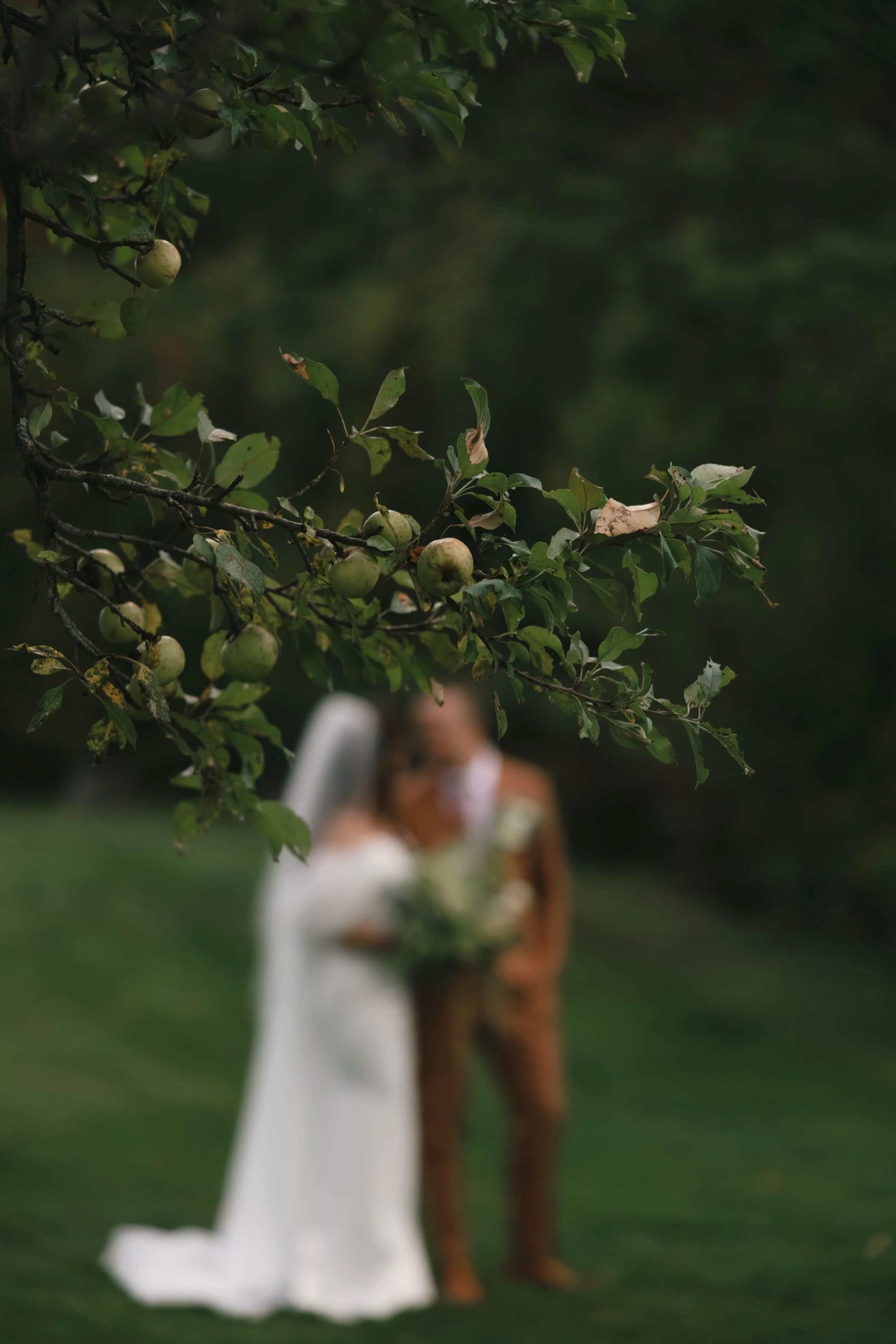 WeddingPhotographerWorcesterMassachusetts (6 of 24).JPG