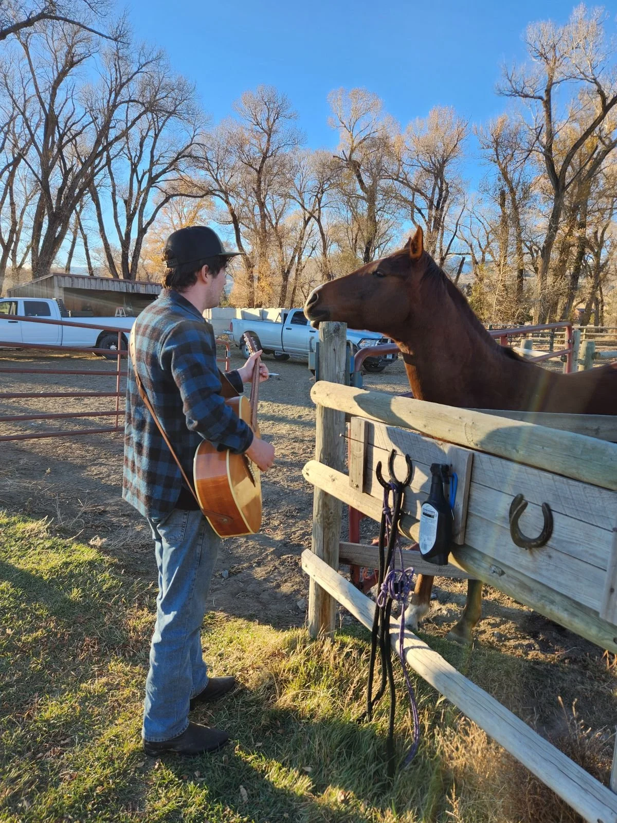 Young man with a guitar singing to a horse behind a wooden fence outdoors on a clear day with leafless trees in the background.