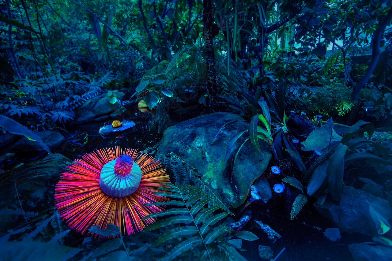 Colorful illuminated fungi and plants in a dense tropical forest with large rocks and ferns.