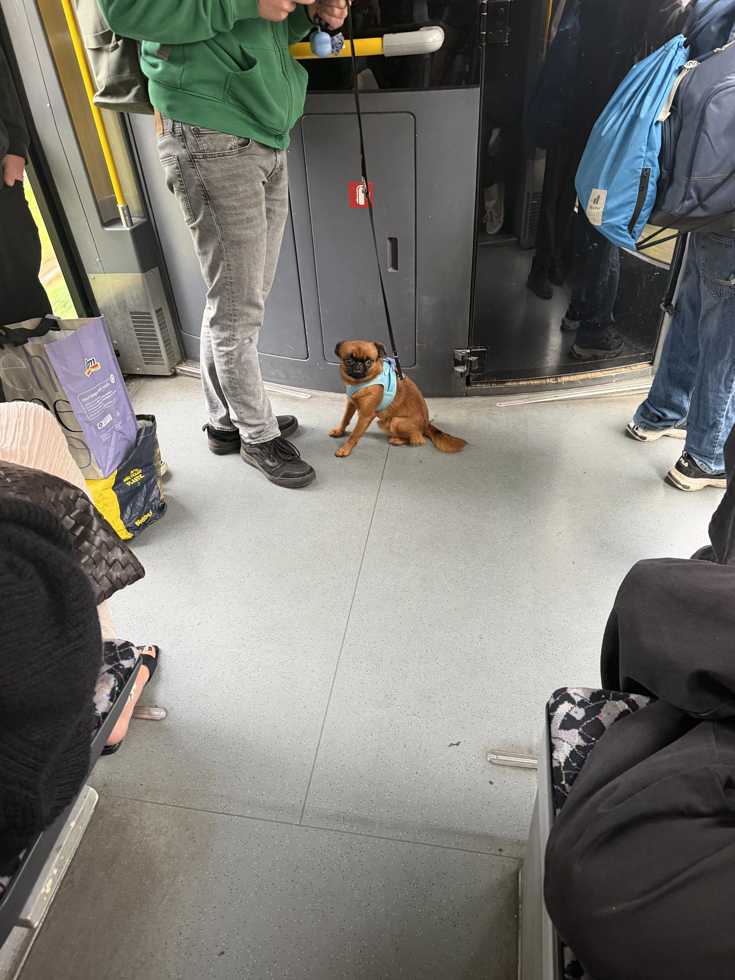 on the way home from the club