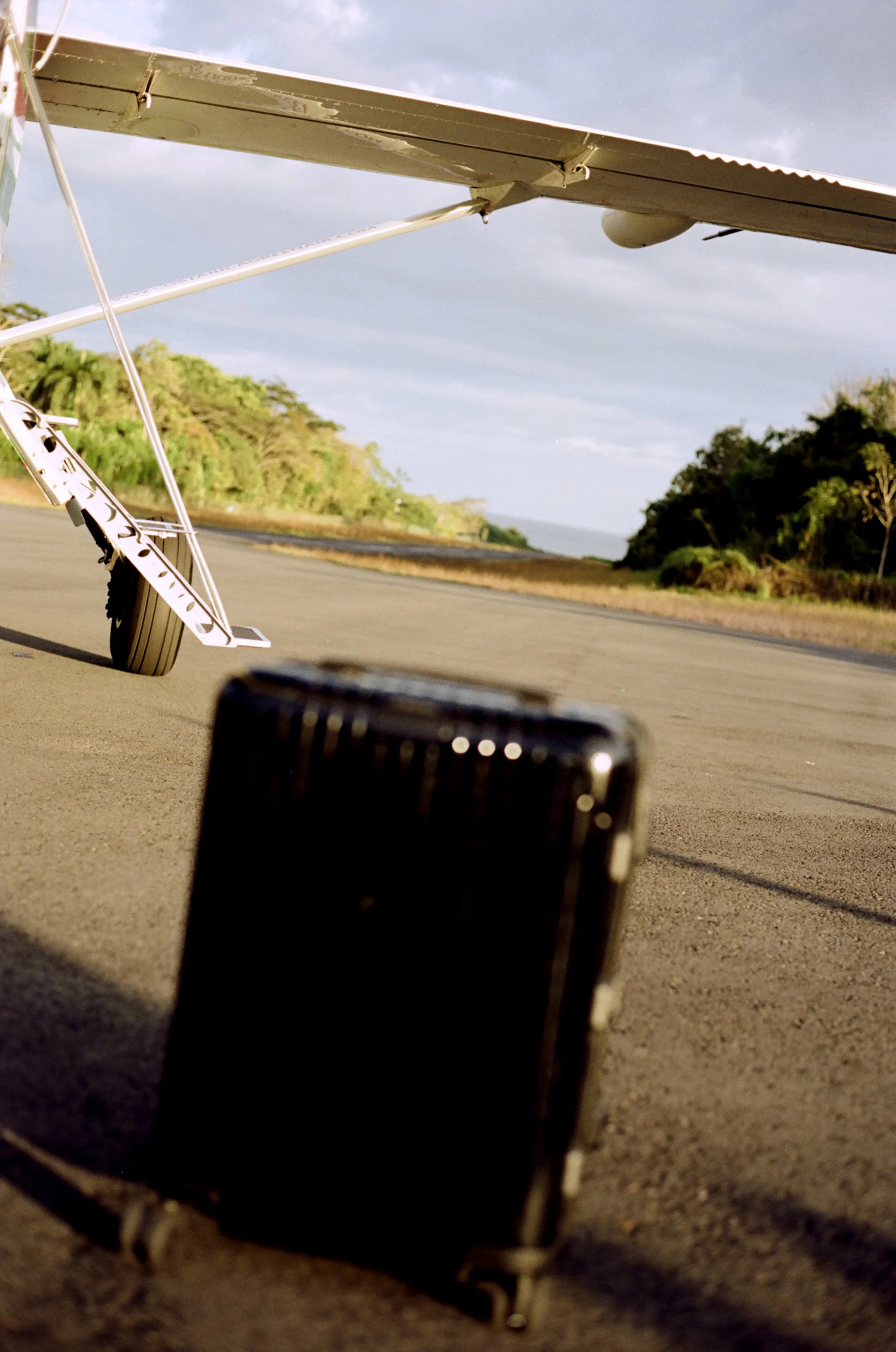rimowatamborcostarica.jpg