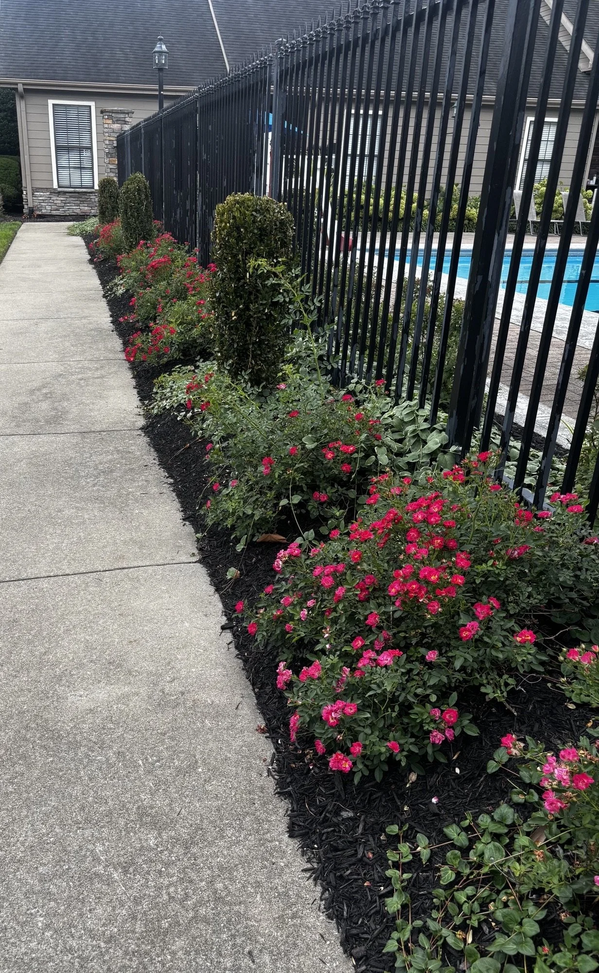 Softscape
Apartment Community Pool with Summer Annuals