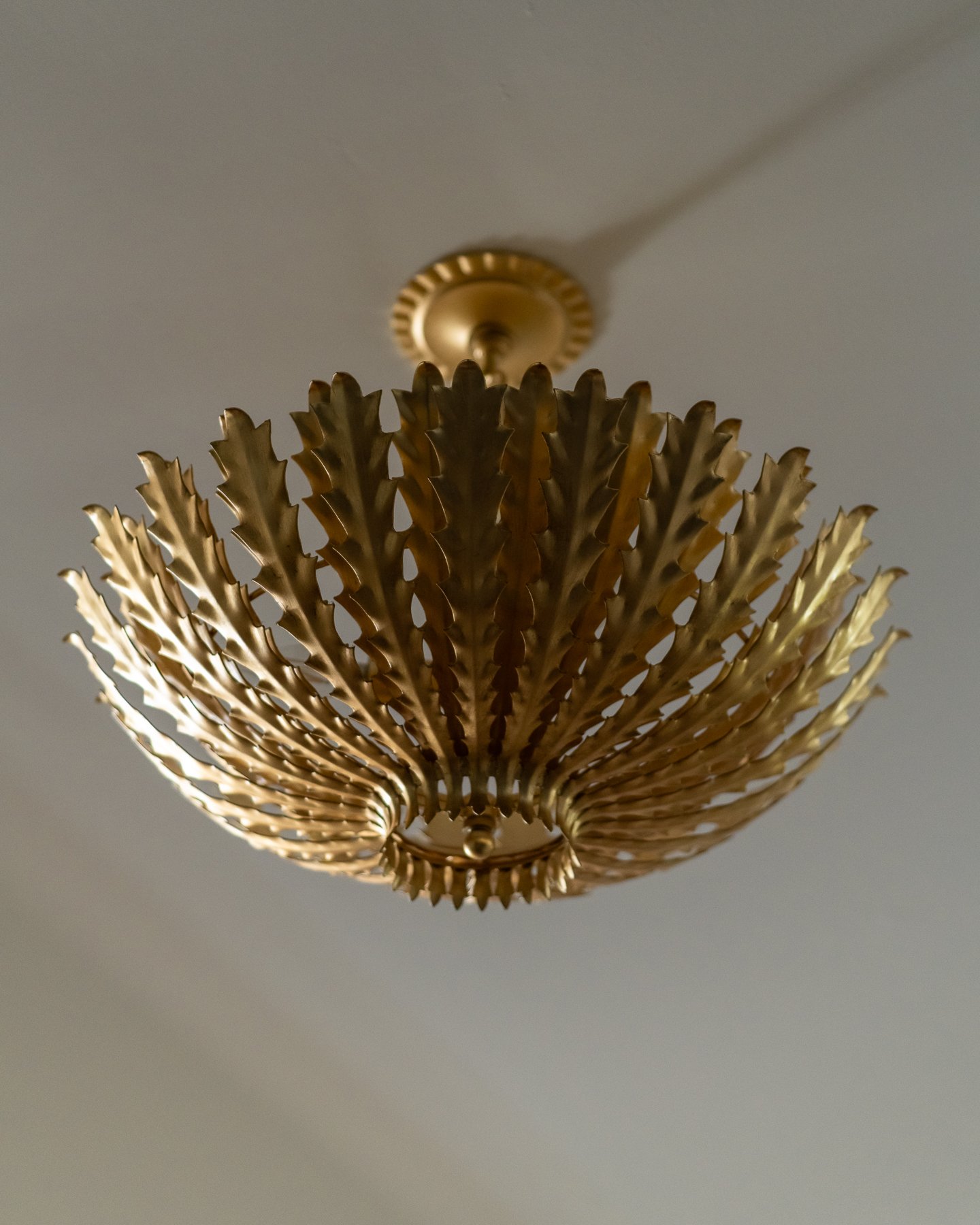 Golden decorative chandelier with leaf-like design hanging from the ceiling.