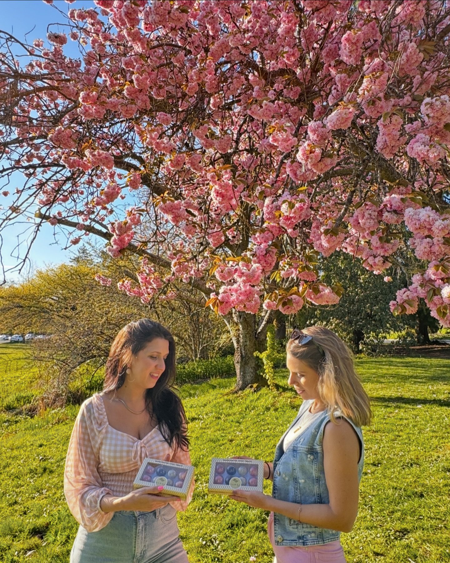 🌸 Embrace the beauty of spring days in Vancouver with the enchanting cherry blossoms! 🌸 Let the delicate petals inspire moments of joy and indulge in the sweetness of our Brigadeiros to elevate the experience.🍫 
.
.
.
.
 #VancouverSpring #CherryBl