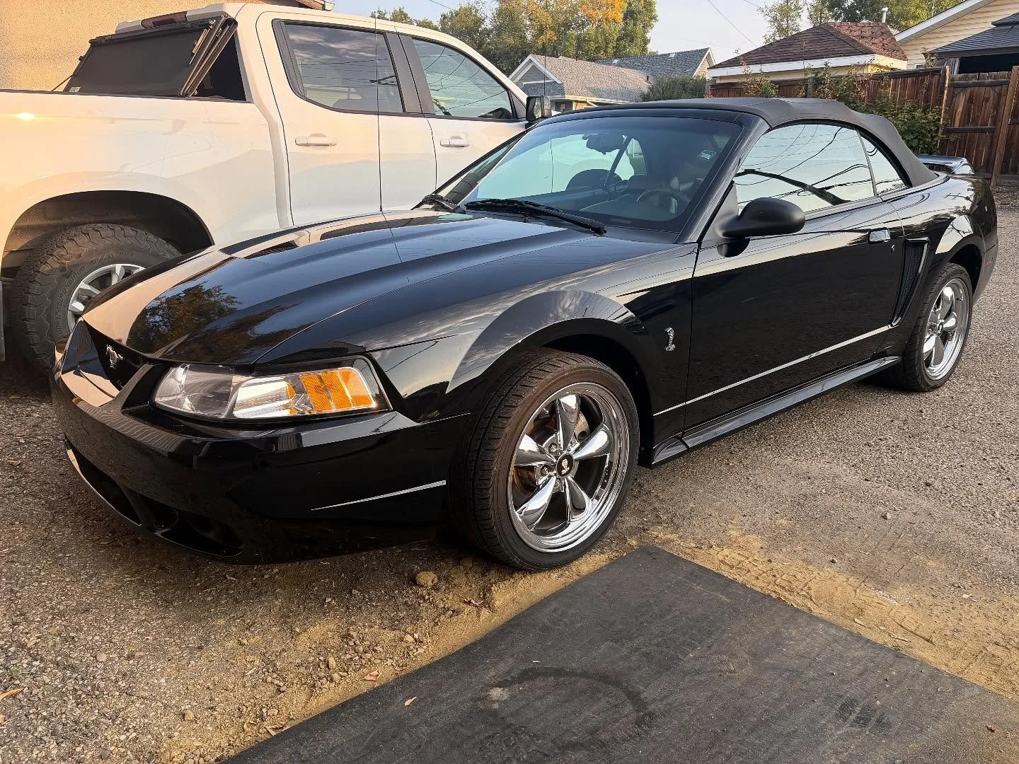 From swirl city ➡️ show car shine.
This Cobra came in covered in wash marks and left with a mirror finish that actually shows off the black, not hides it. 🐍✨
Decon, correction, and protection &mdash; nothing untouched.

📍 Pick 6 PDR &amp; Detail &n