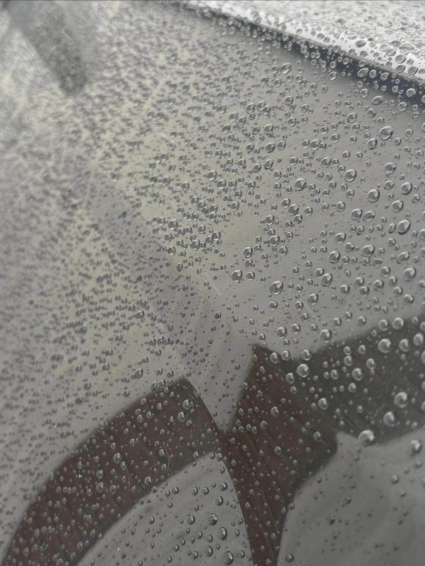 Fresh @systemxceramic 2-year ceramic coating doing its thing in the middle of a December flurry ❄️
Hydrophobic, glossy, and ready for our Alberta winter.