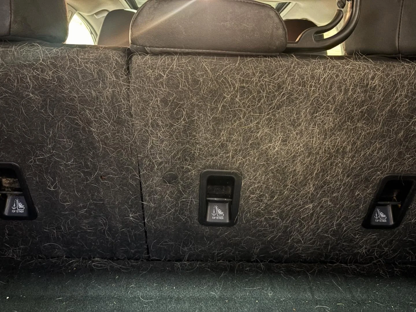 Dog owners&hellip; you know the struggle 🐕
Pet hair happens &mdash; we&rsquo;ve got it handled.
Clean, fresh, and ready for everyday life again.

👉 Message us to book your interior detail.