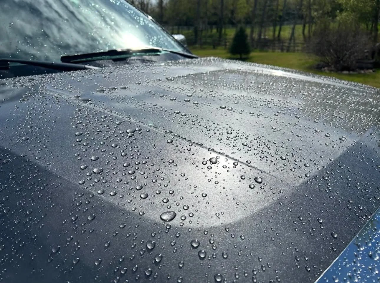This is what a professionally applied ceramic coating looks like after a rainfall.

Those tight, round water beads aren&rsquo;t just satisfying to look at&mdash;they&rsquo;re a sign that the coating is actively repelling water and helping keep contam