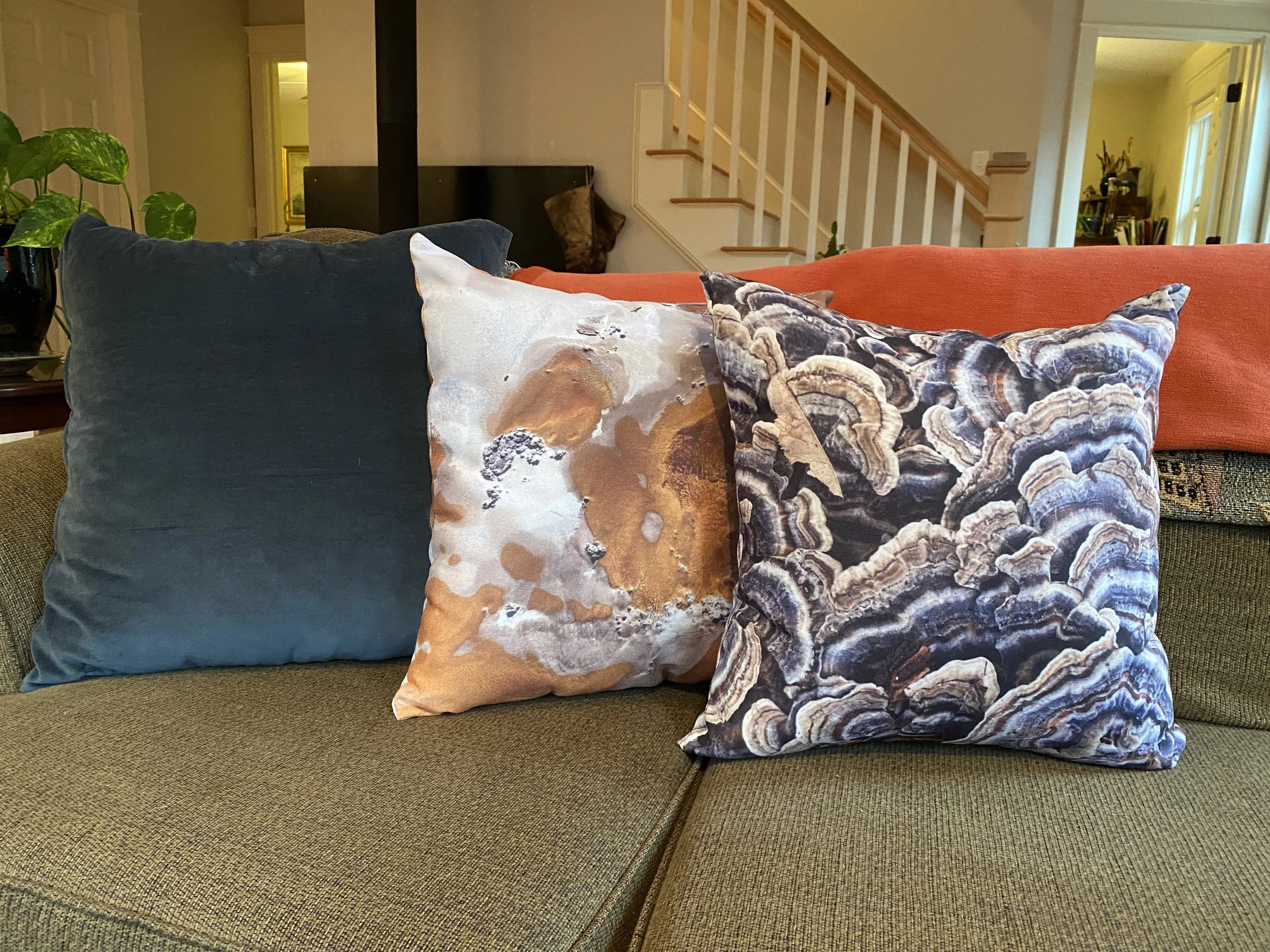 Find Me! — Sea of Thyme