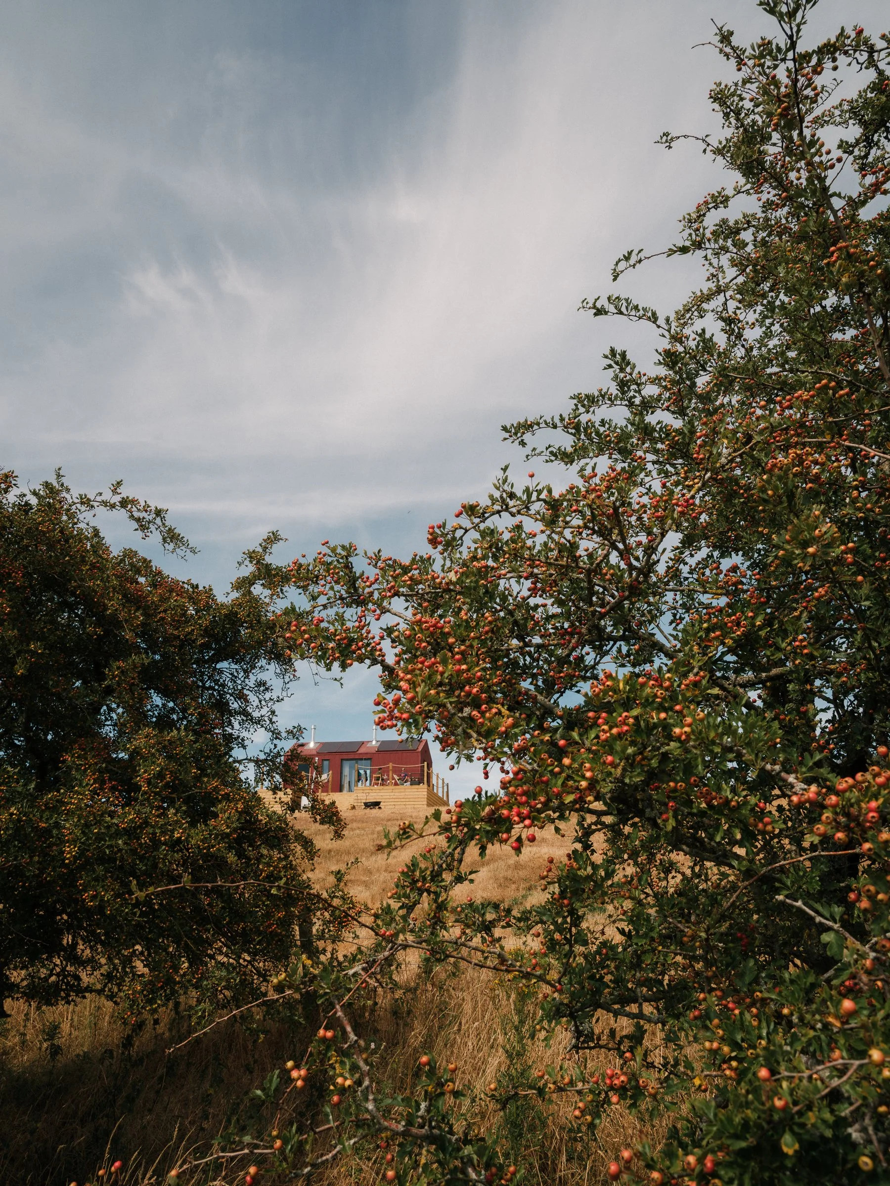 DSCF4365.jpg