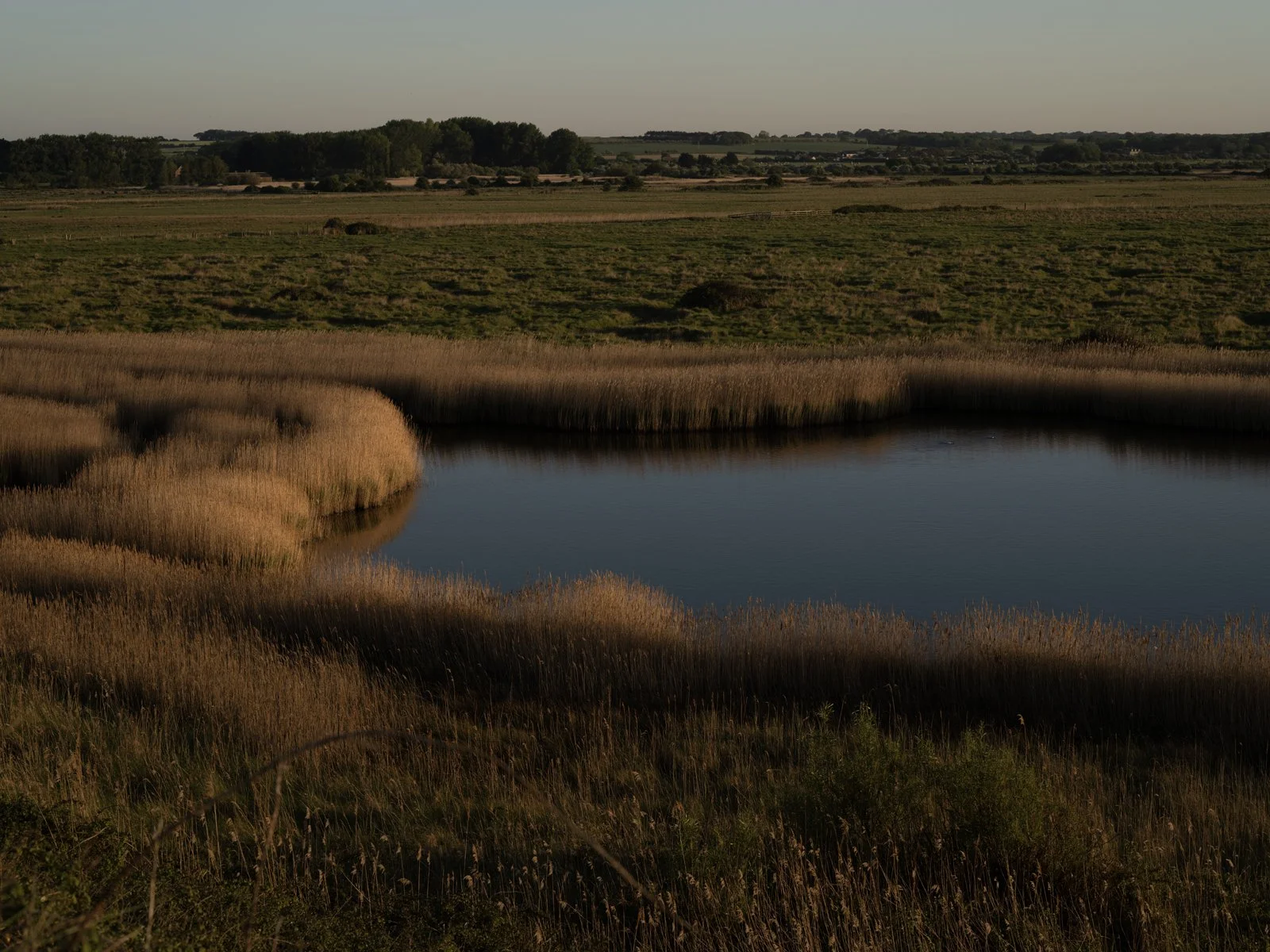 Hutton_Drove_Orchards_ACAM1229.jpg
