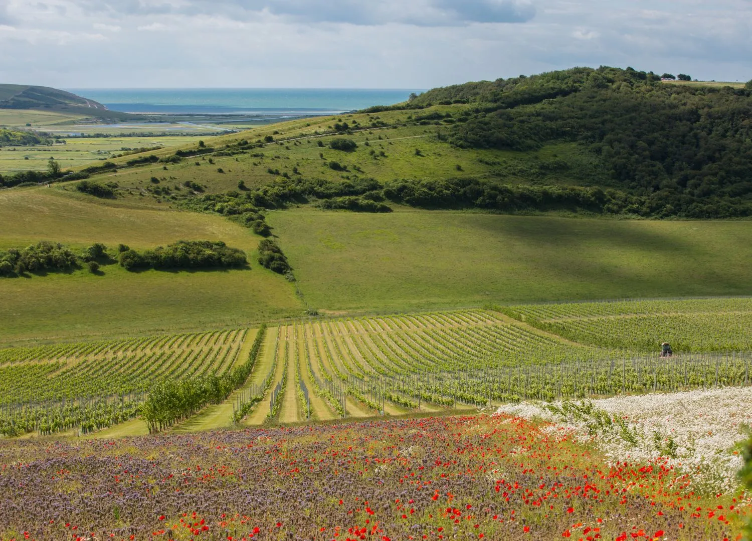 Chalk-grasslands-conservation-crew.png