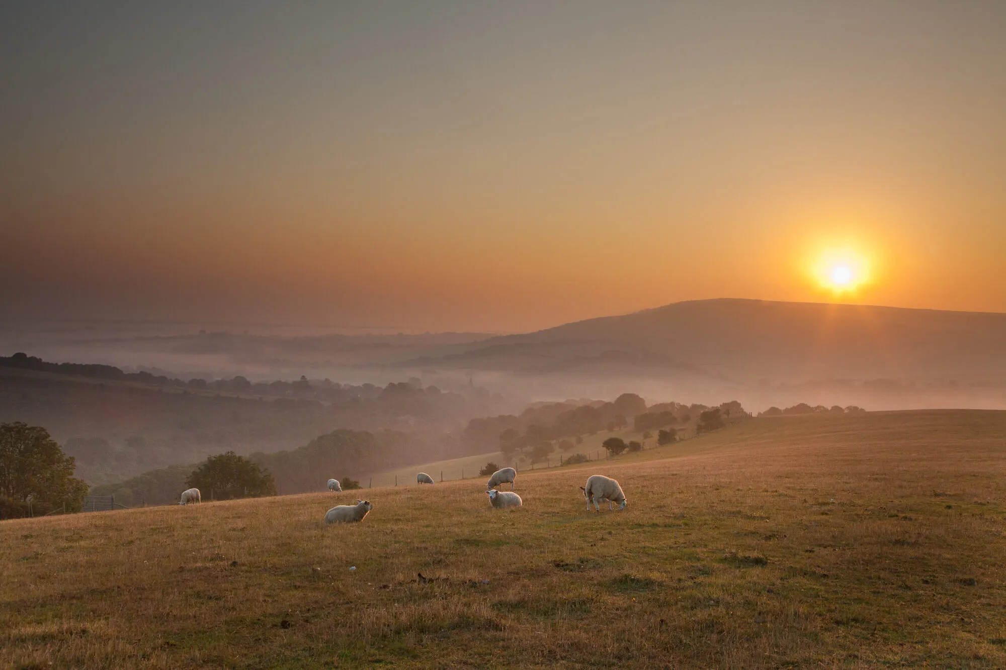 The_South_Downs_of_Sussex.png