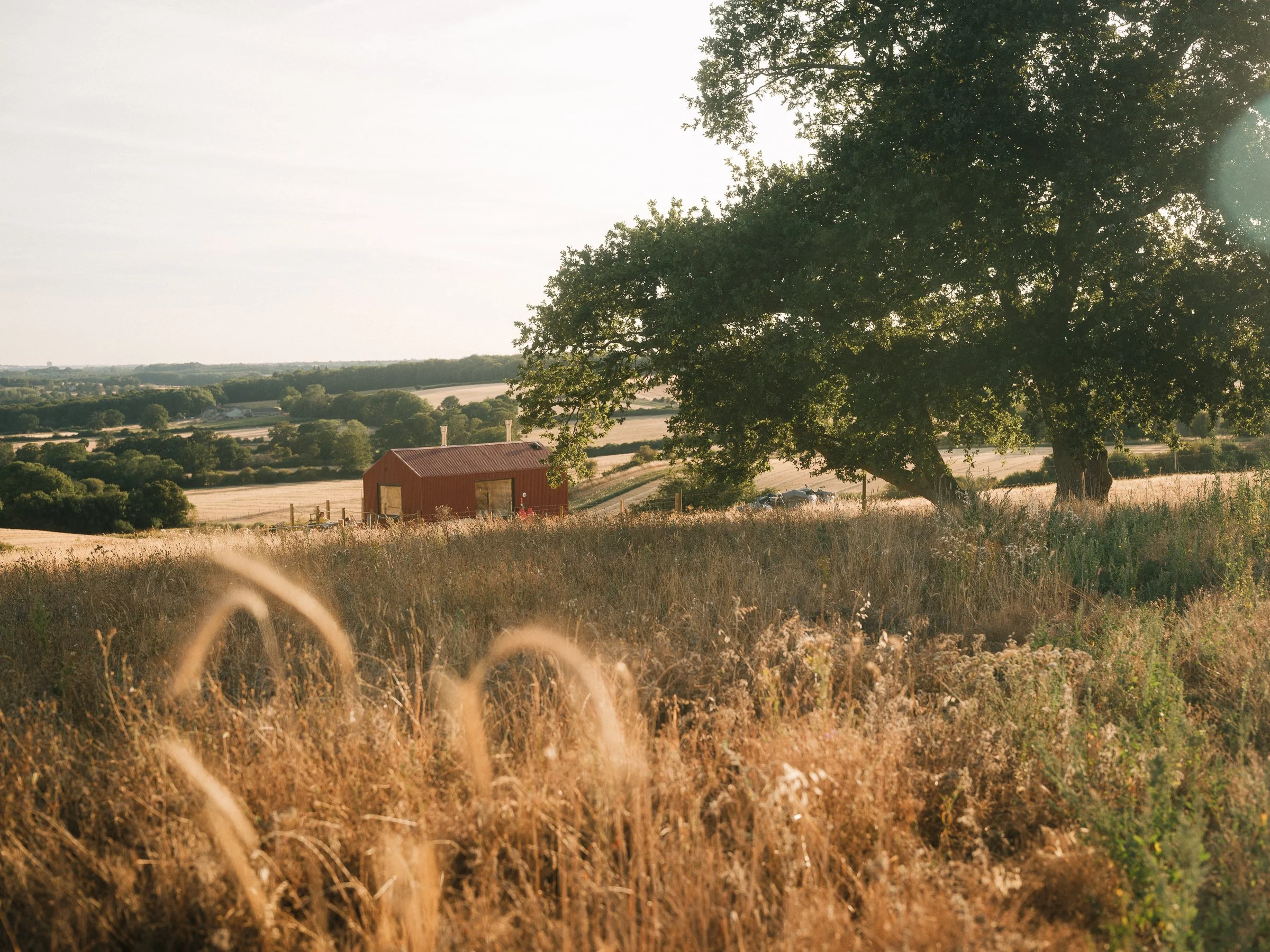 DSCF3808.jpg
