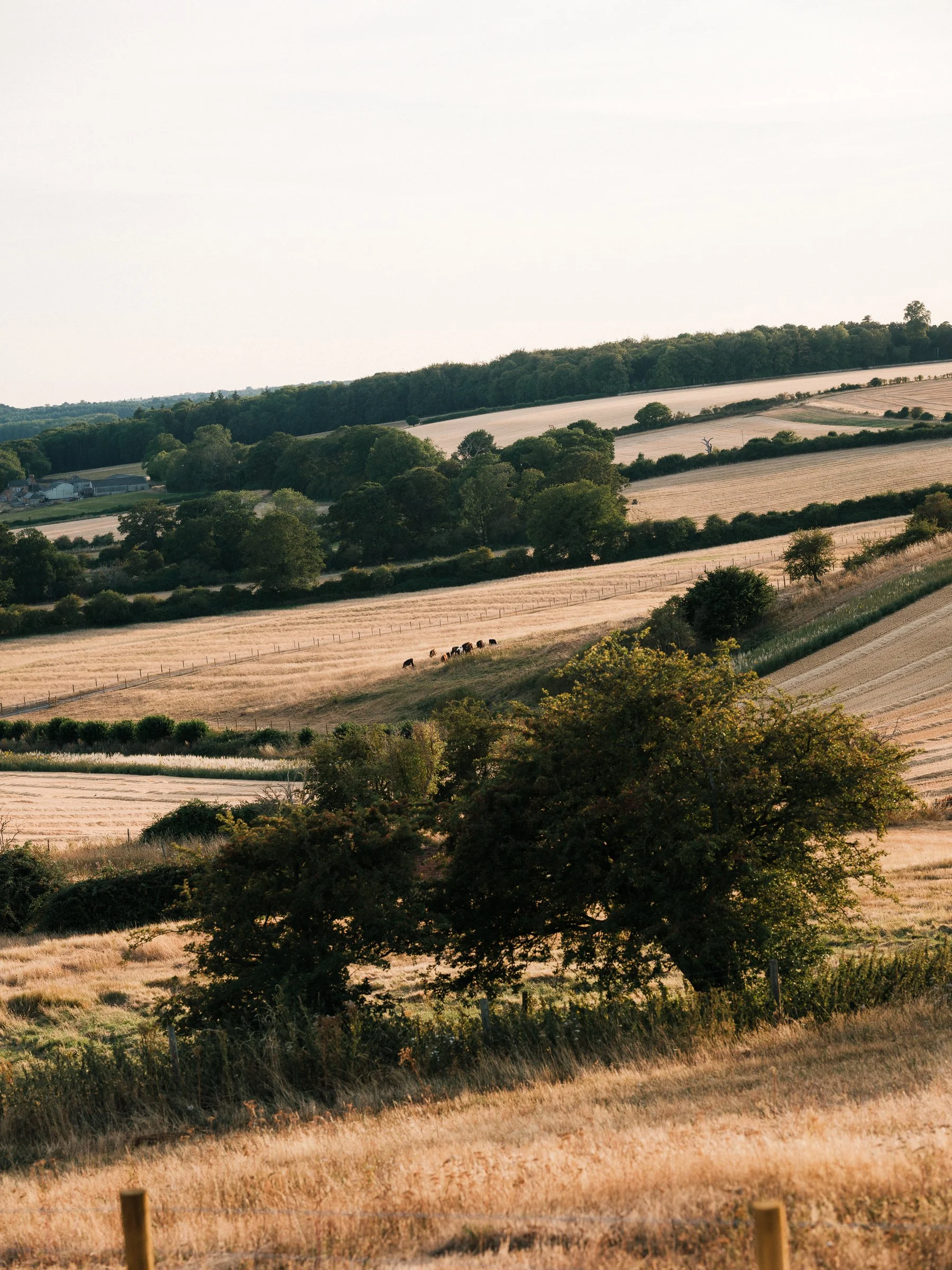 DSCF3893.jpg
