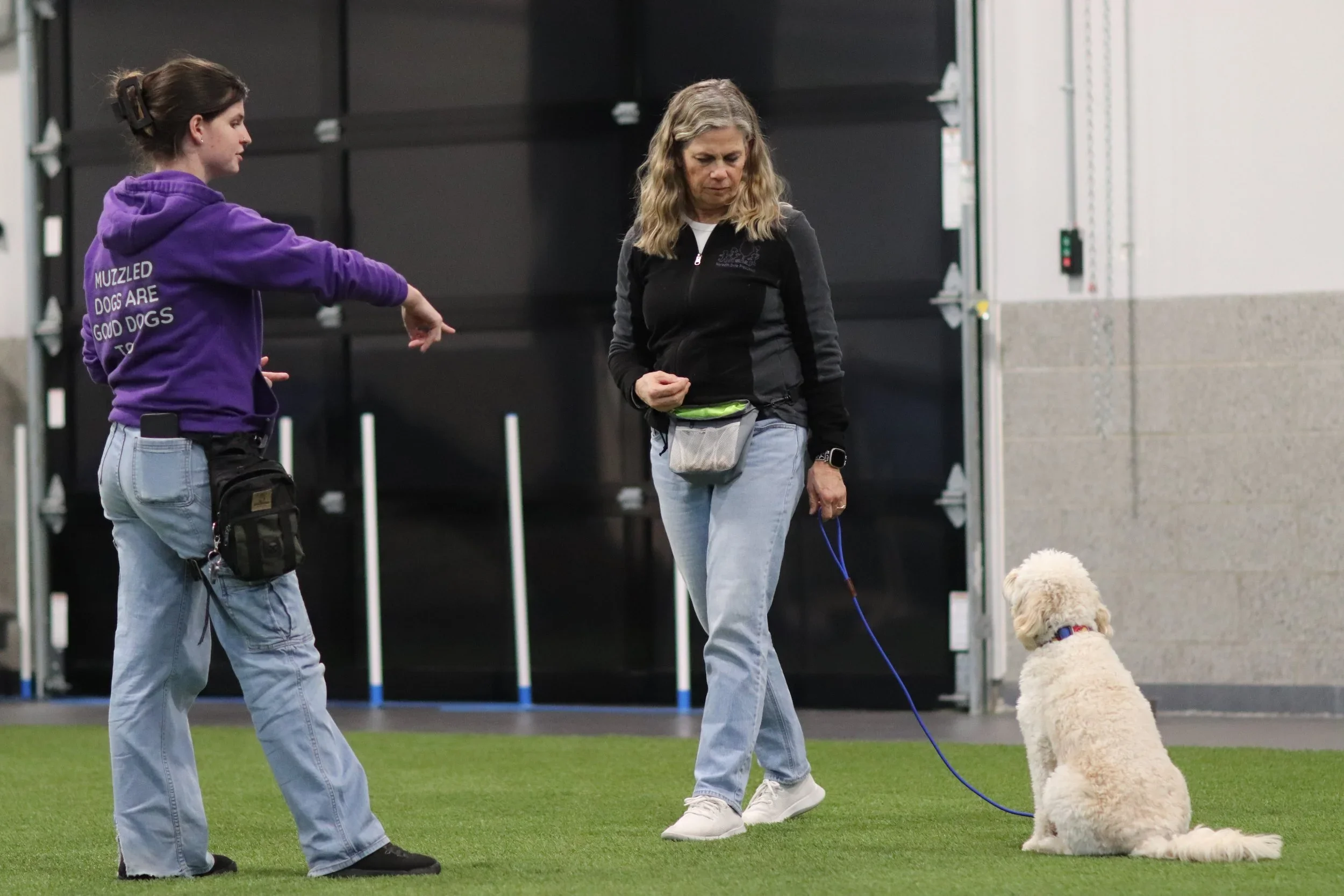 Obedience 1 Dog Training in Des Moines: Build a Strong Foundation for Your Dog