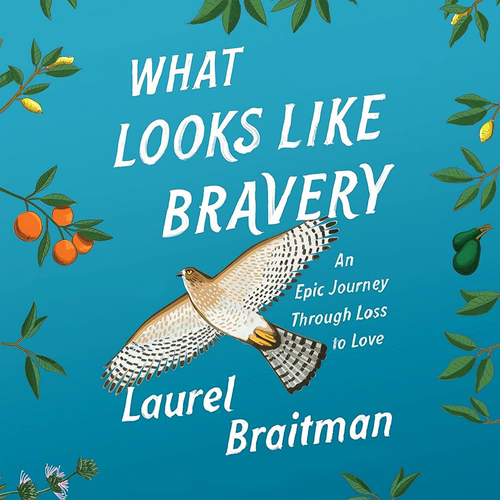 35 Laurel+Braitman_Cover_What+Looks+Like+Bravery 2023-12-07.png