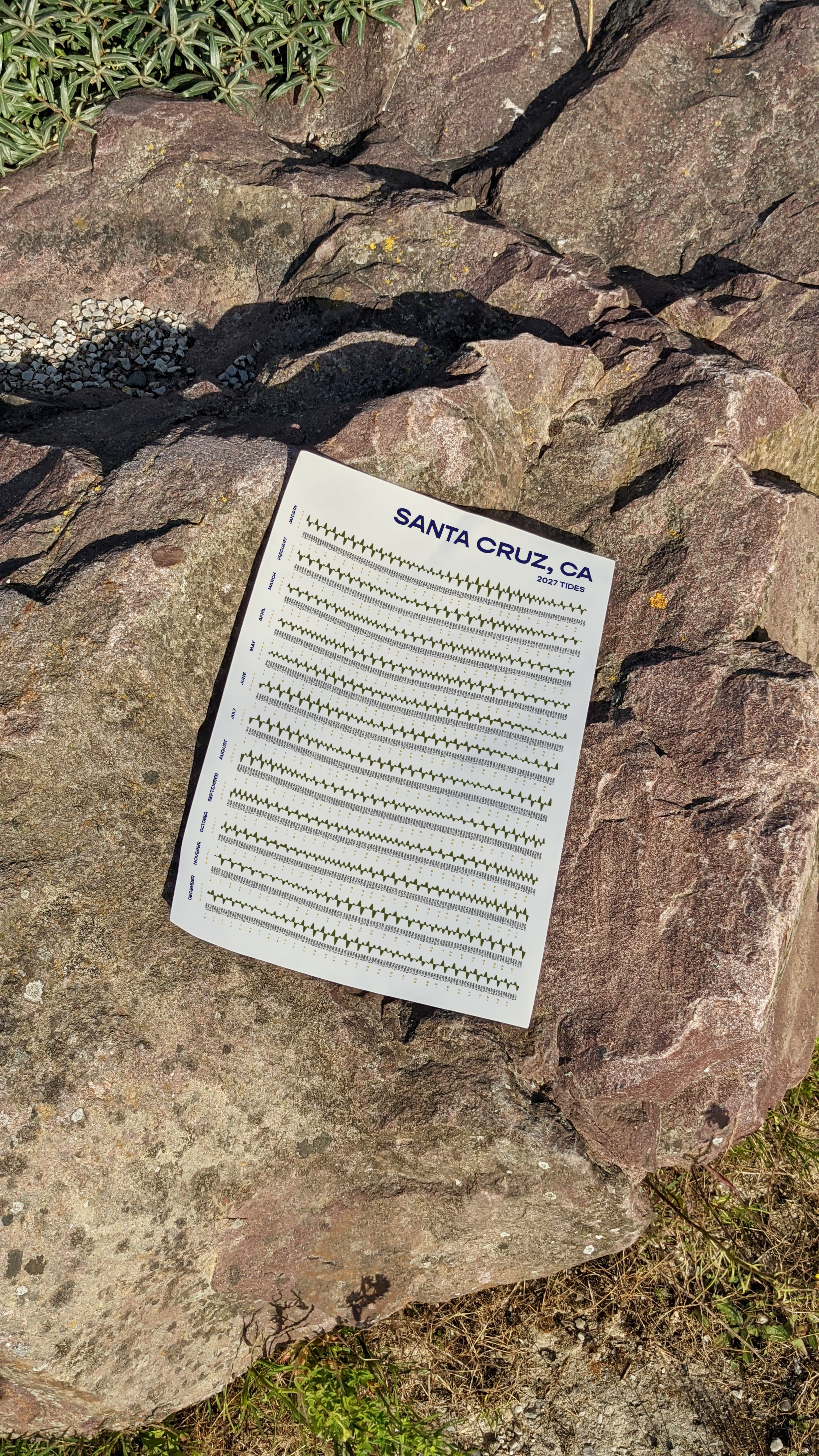 jowinski_mockup_poster_rock_santacruz.png