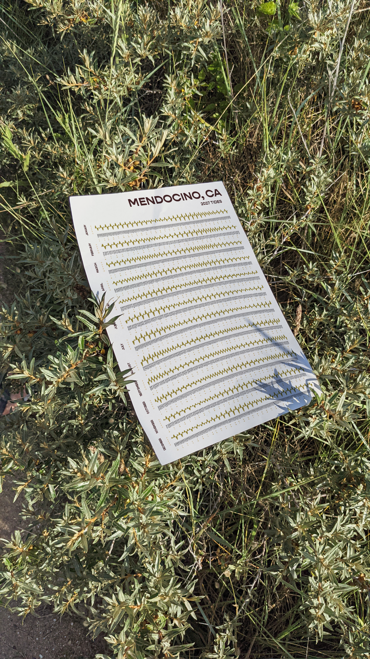 jowinski_mockup_poster_bush_mendo.png