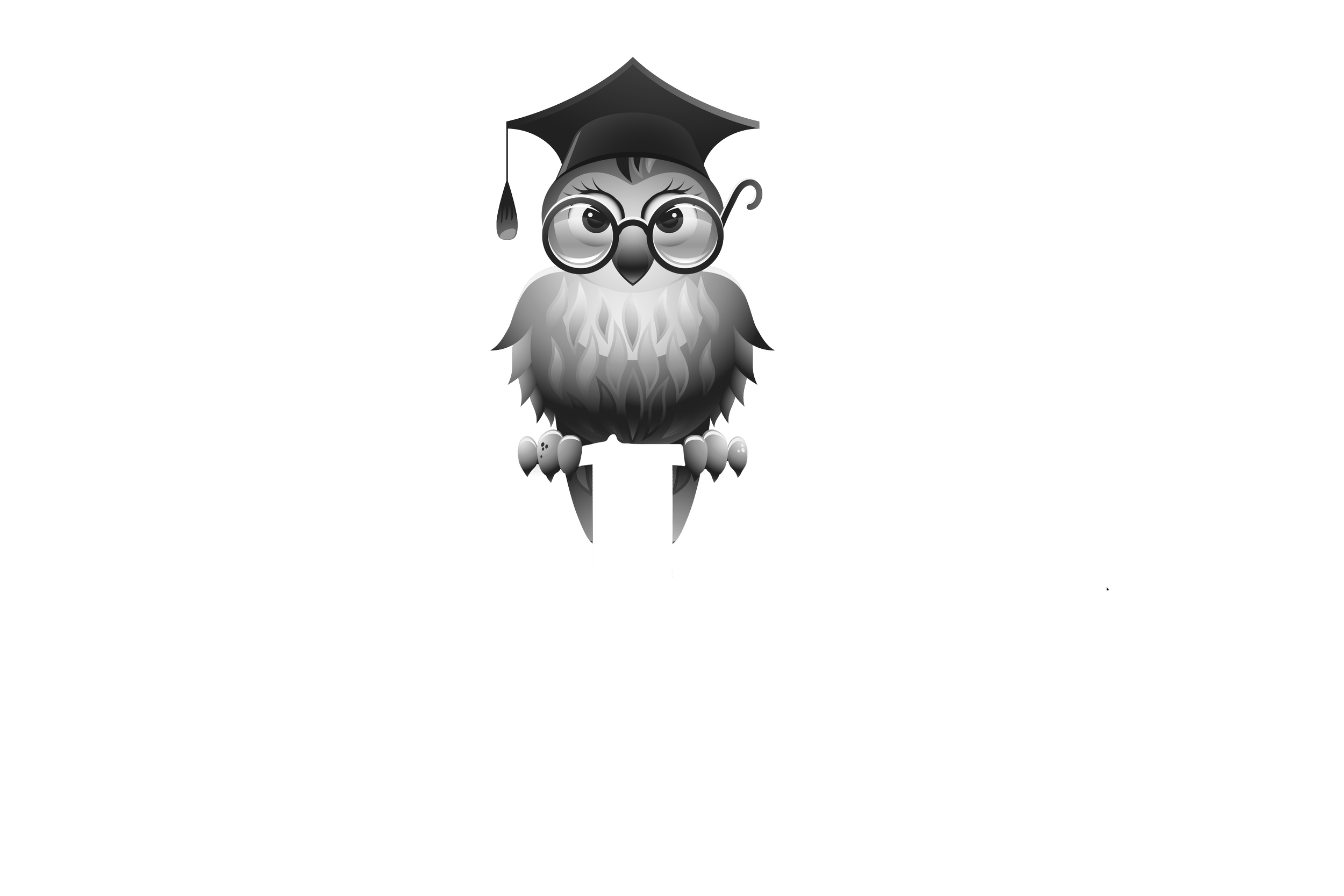 The WISE Scholarship  Fund / Steele Family Foundation