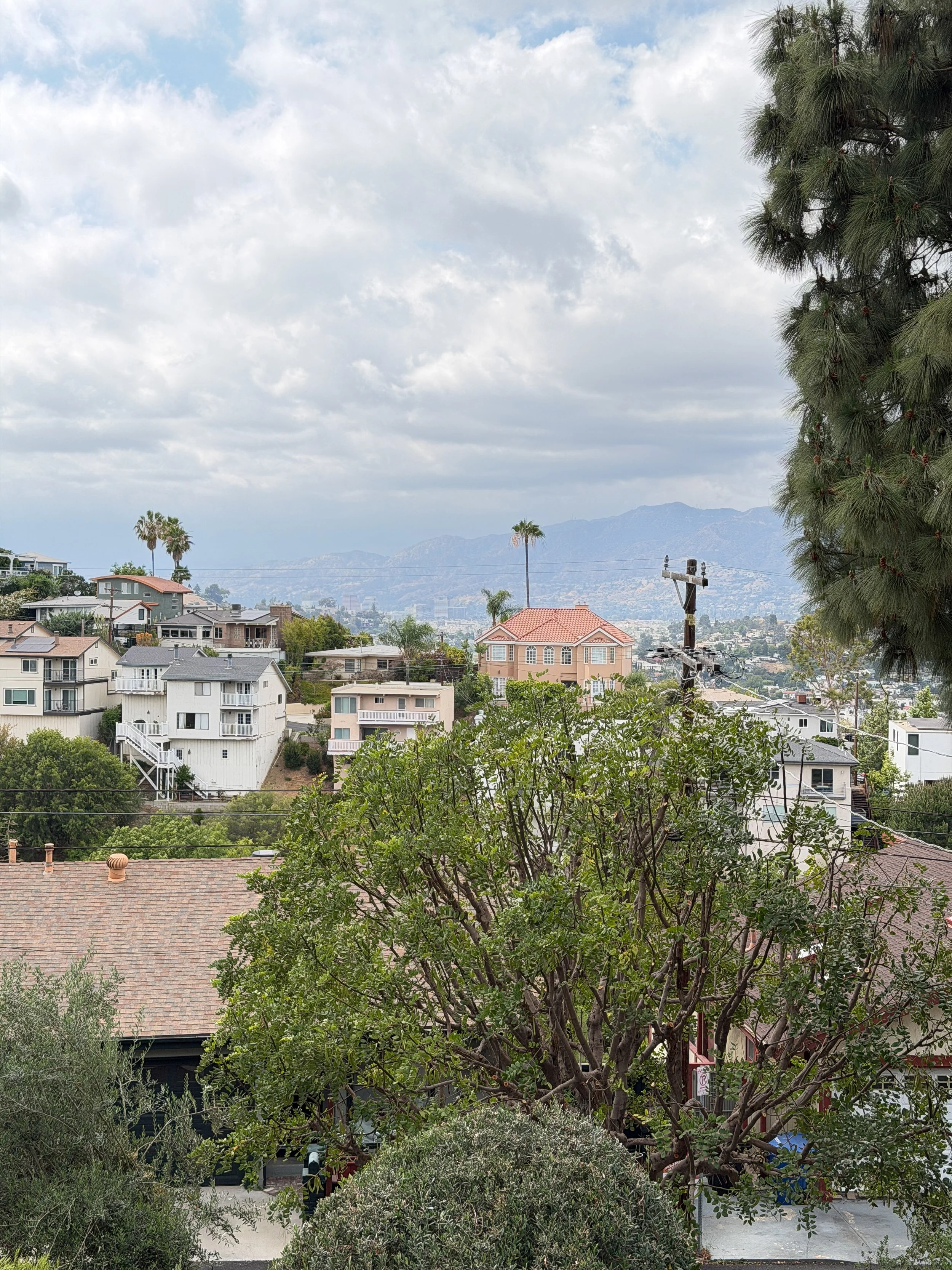 Hillside view from an Airbnb in Northeast Los Angeles