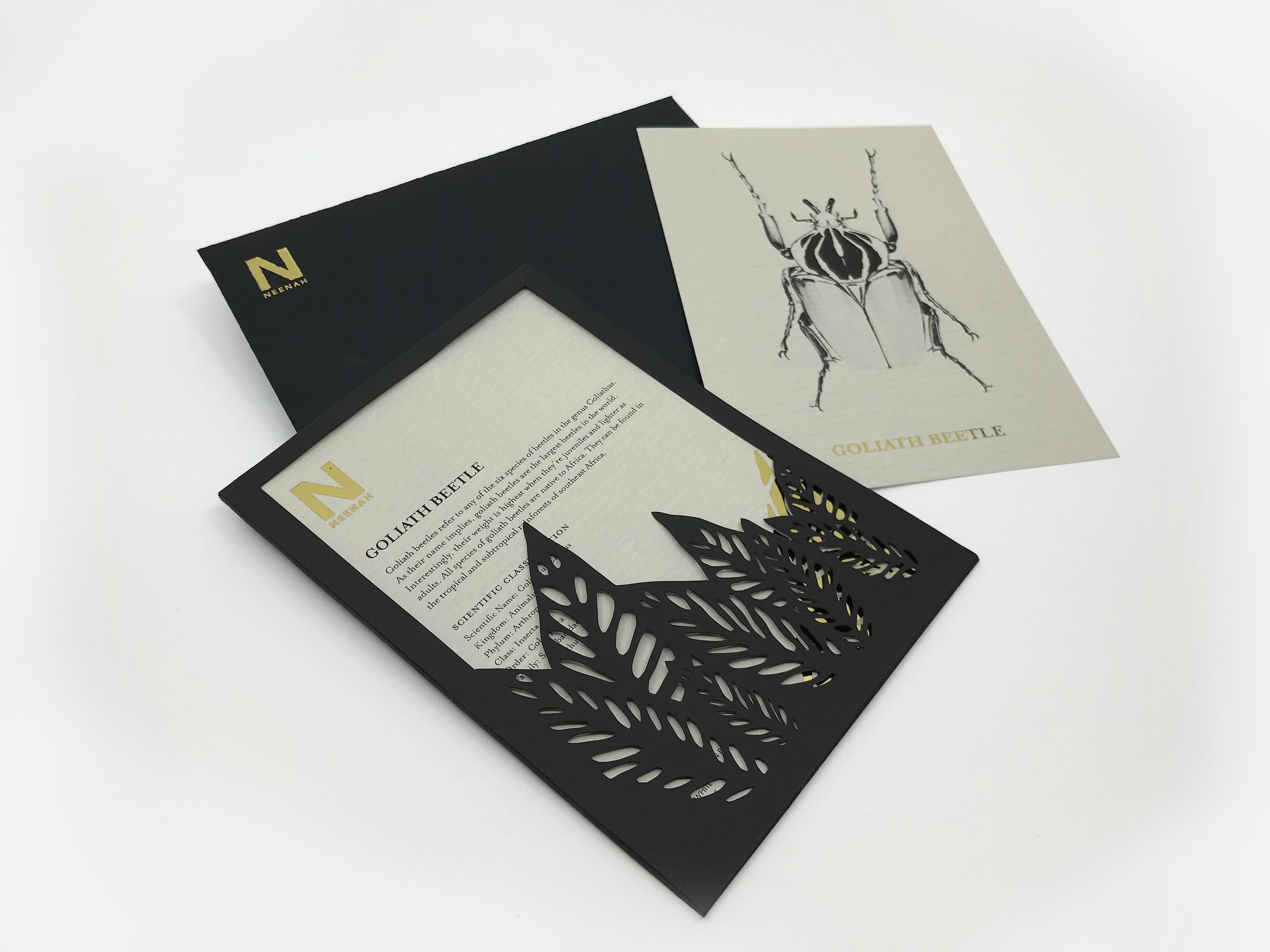 ATL_202320_GRDS_GracieRubringer_InsectCards8.jpg