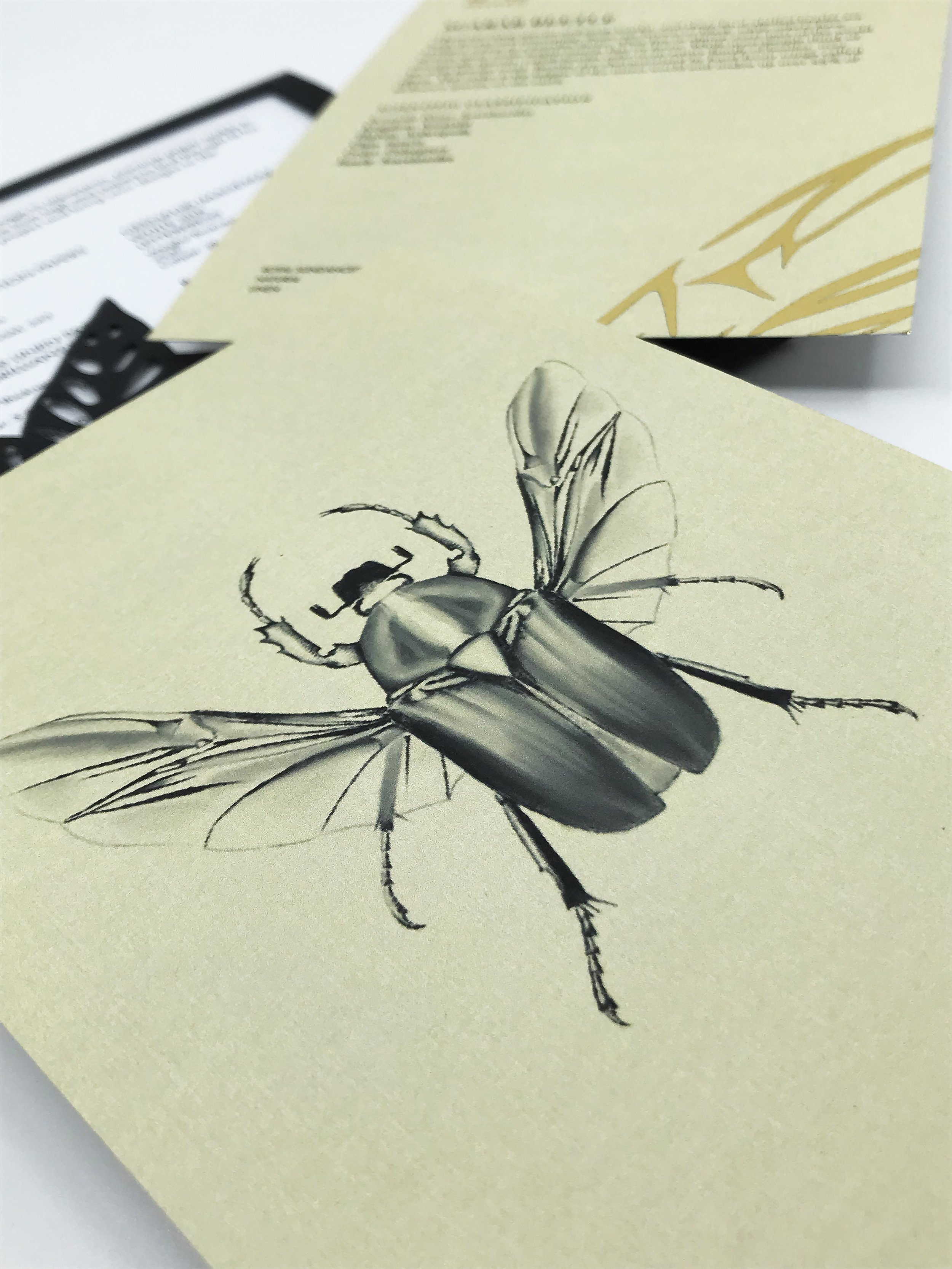 ATL_202320_GRDS_GracieRubringer_InsectCards28.jpg