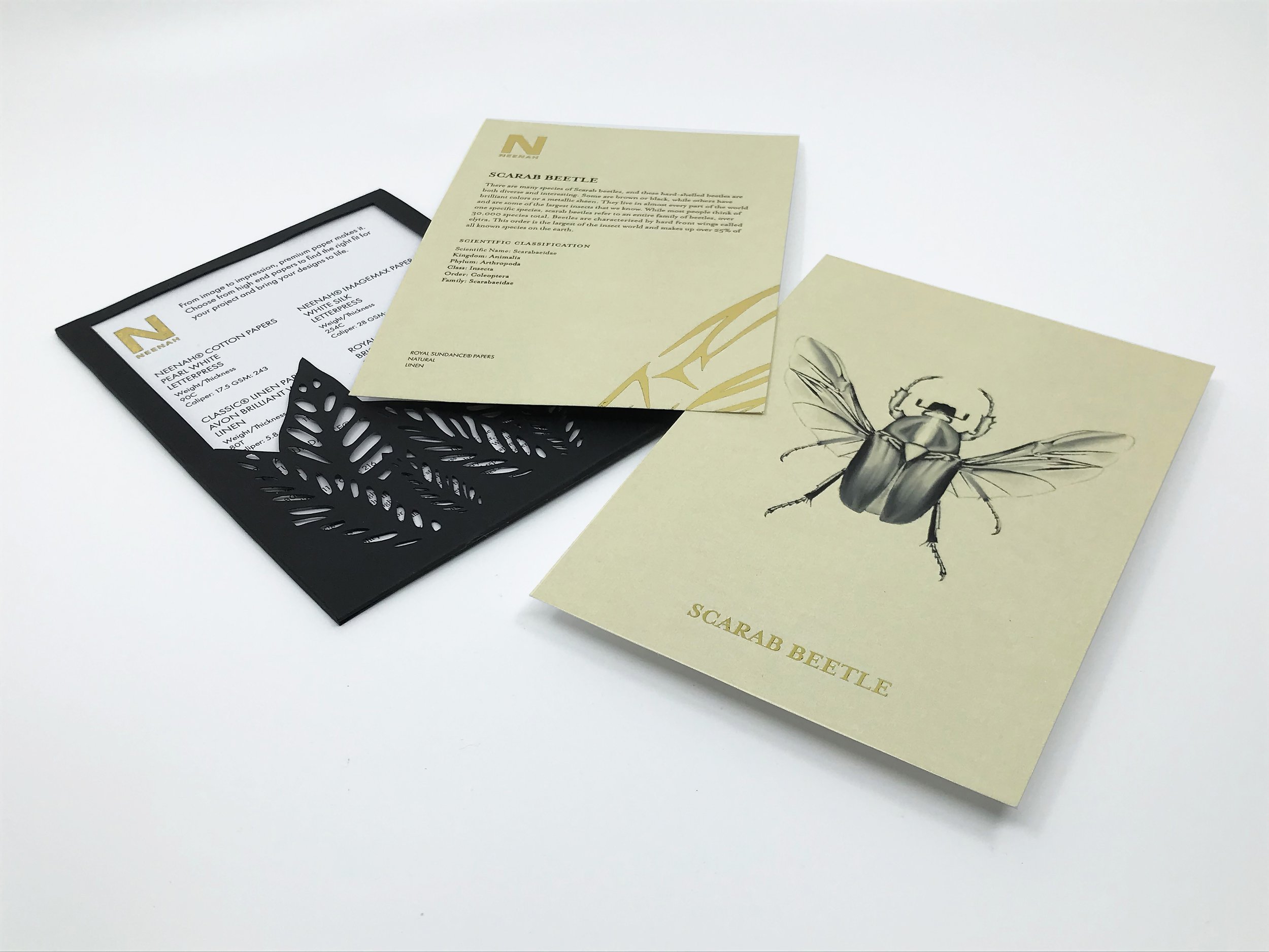 ATL_202320_GRDS_GracieRubringer_InsectCards25.jpg