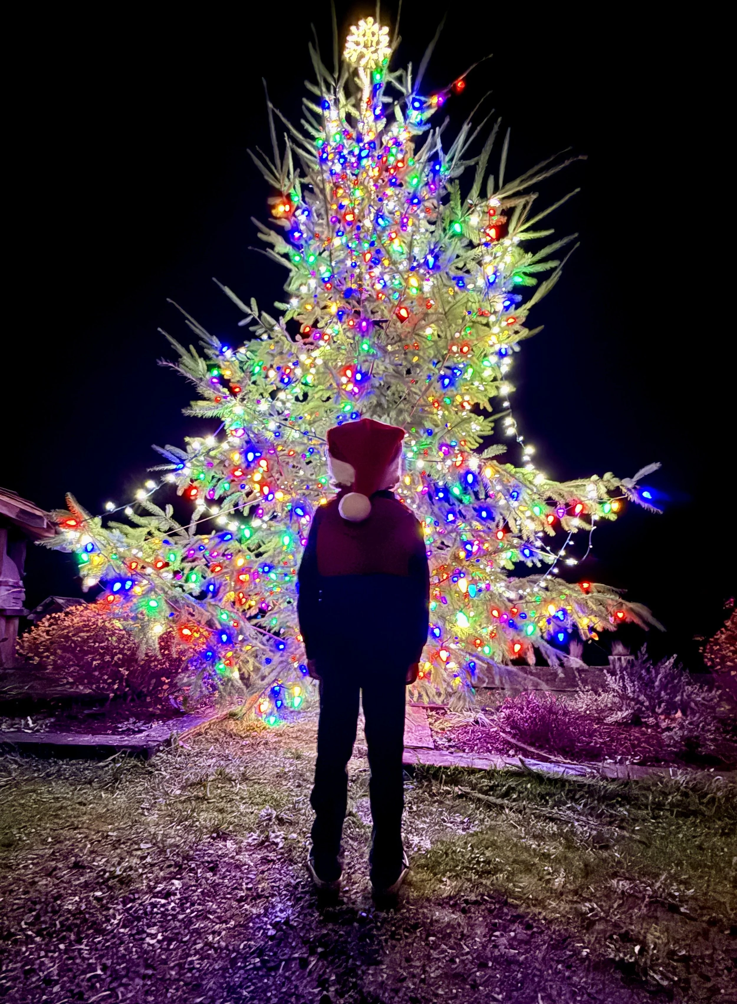 Nordland General Store Christmas Tree Lighting