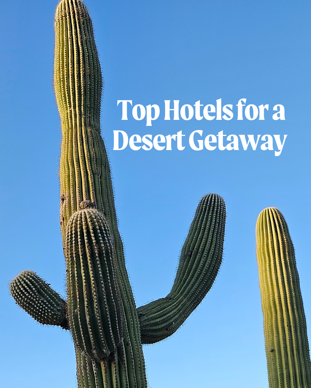 Copy of Desert Hotels Intro.png