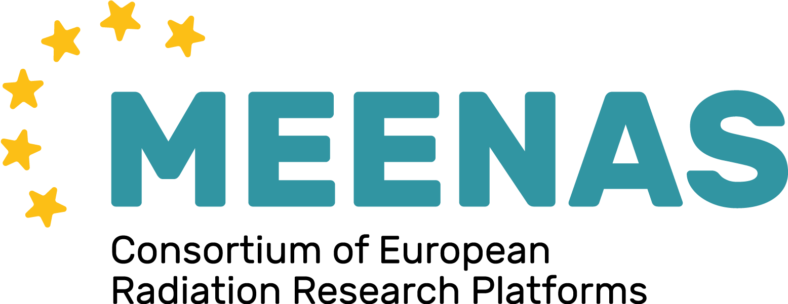 2nd MEENAS webinar 2025
