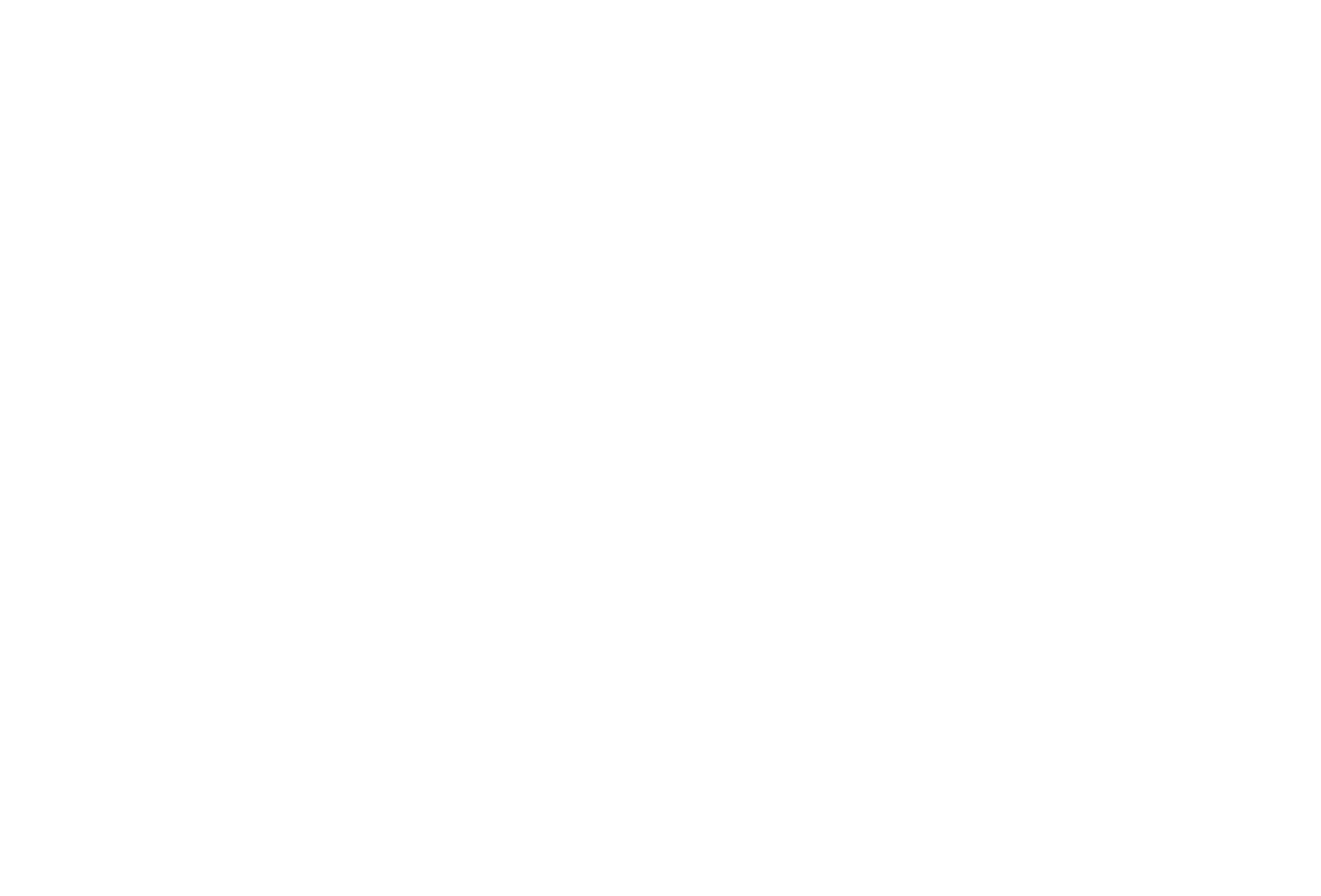Execution Consultants