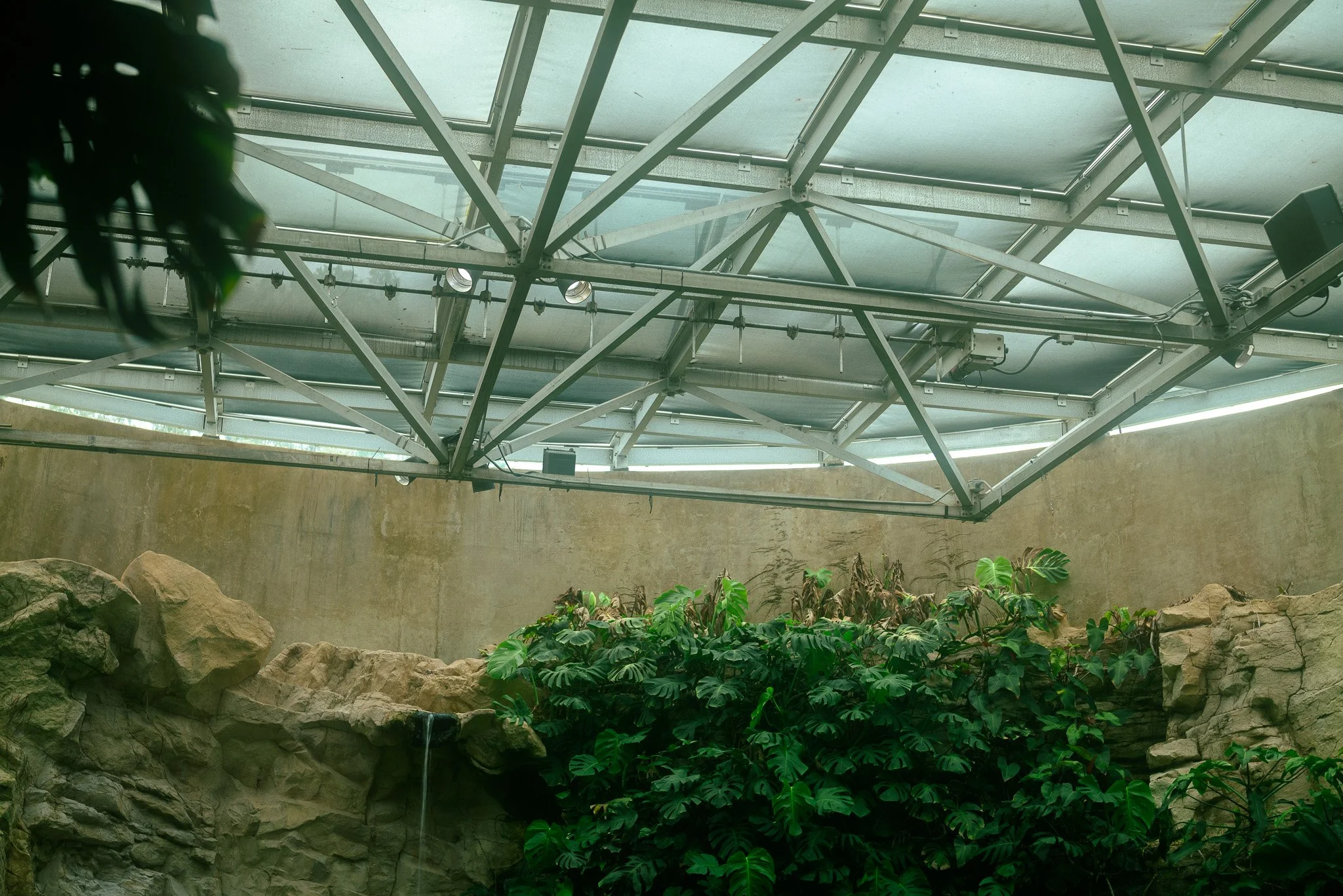 P1195619.jpg