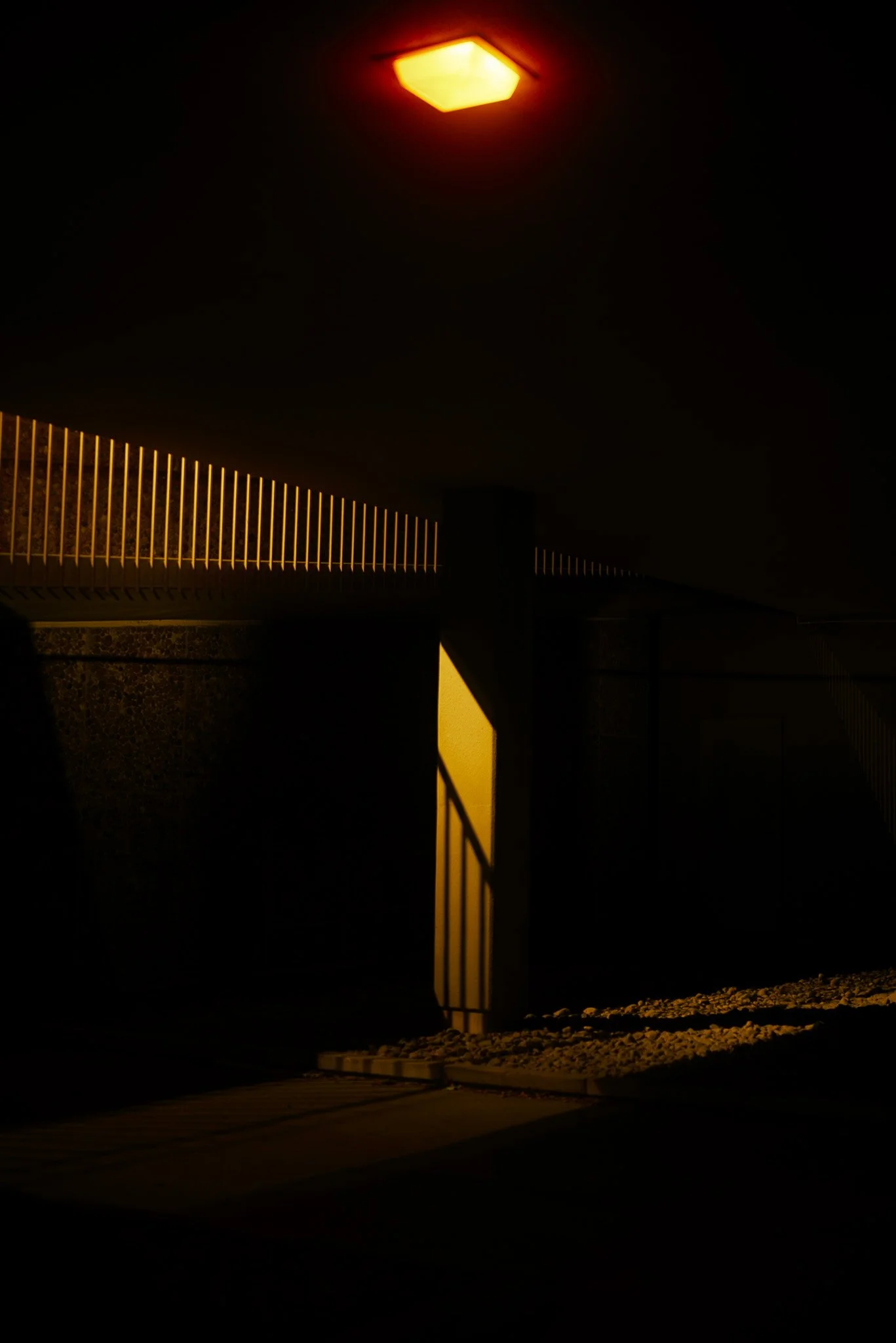 P1195747.jpg