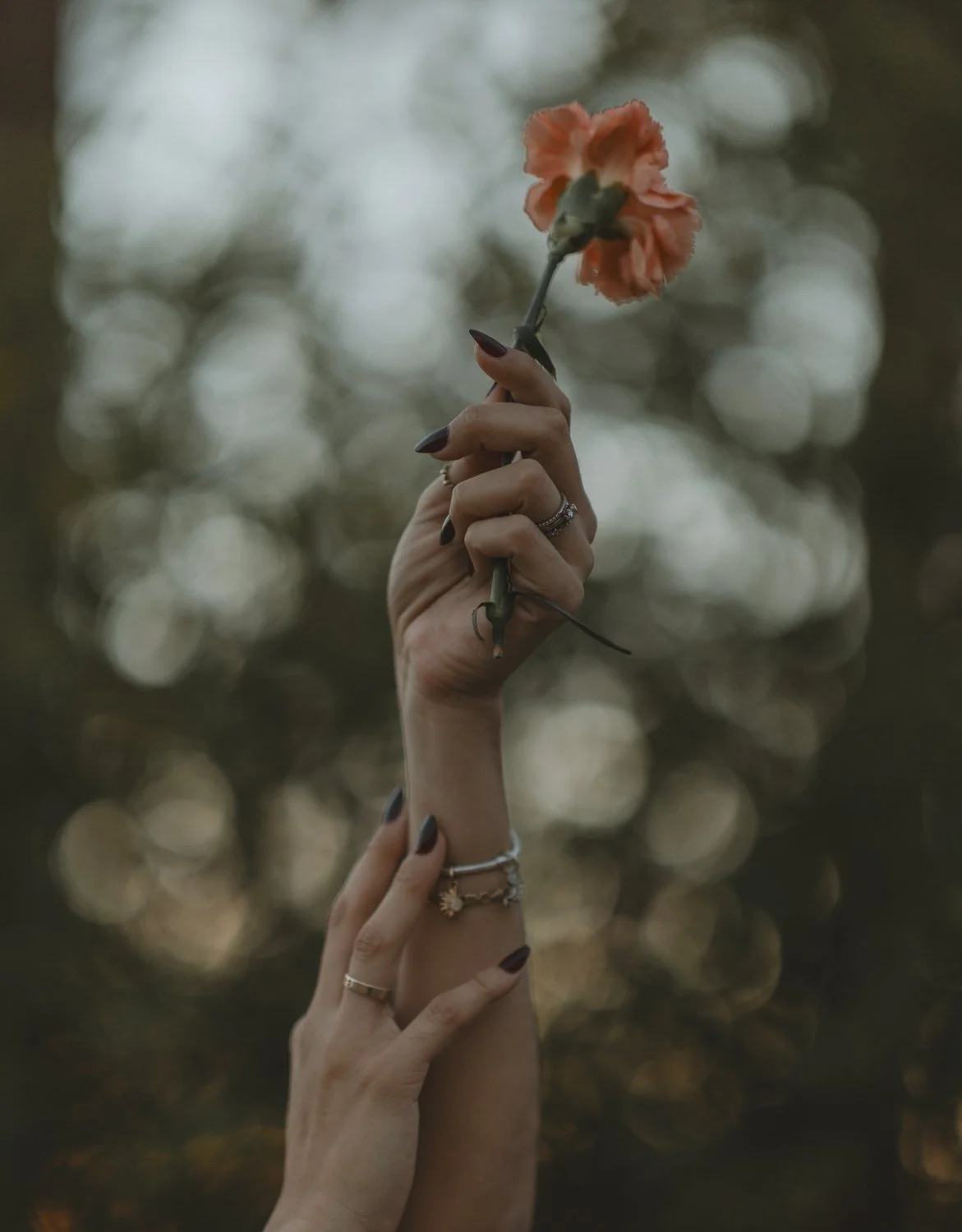 Photography & Editing