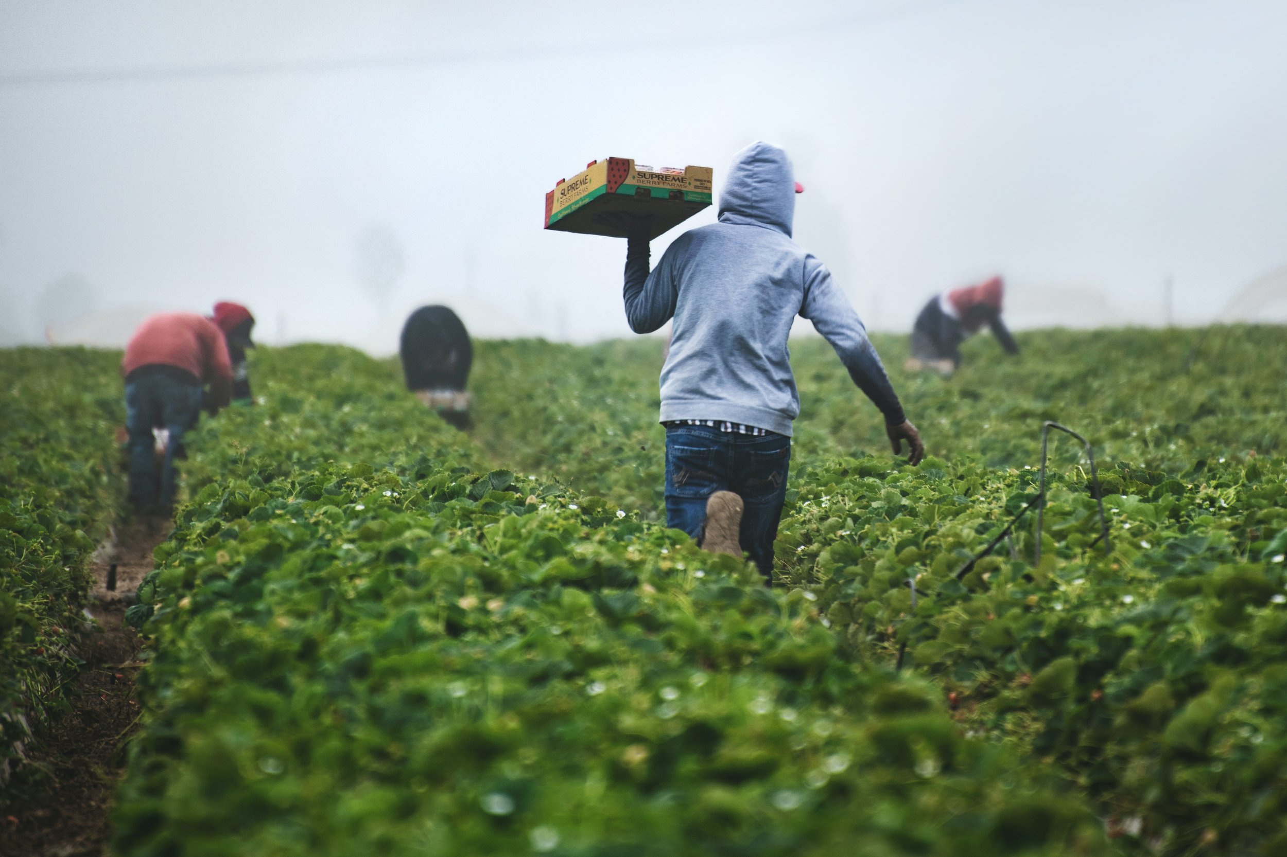 Immigrants Power Oregon’s Economy while Facing Obstacles