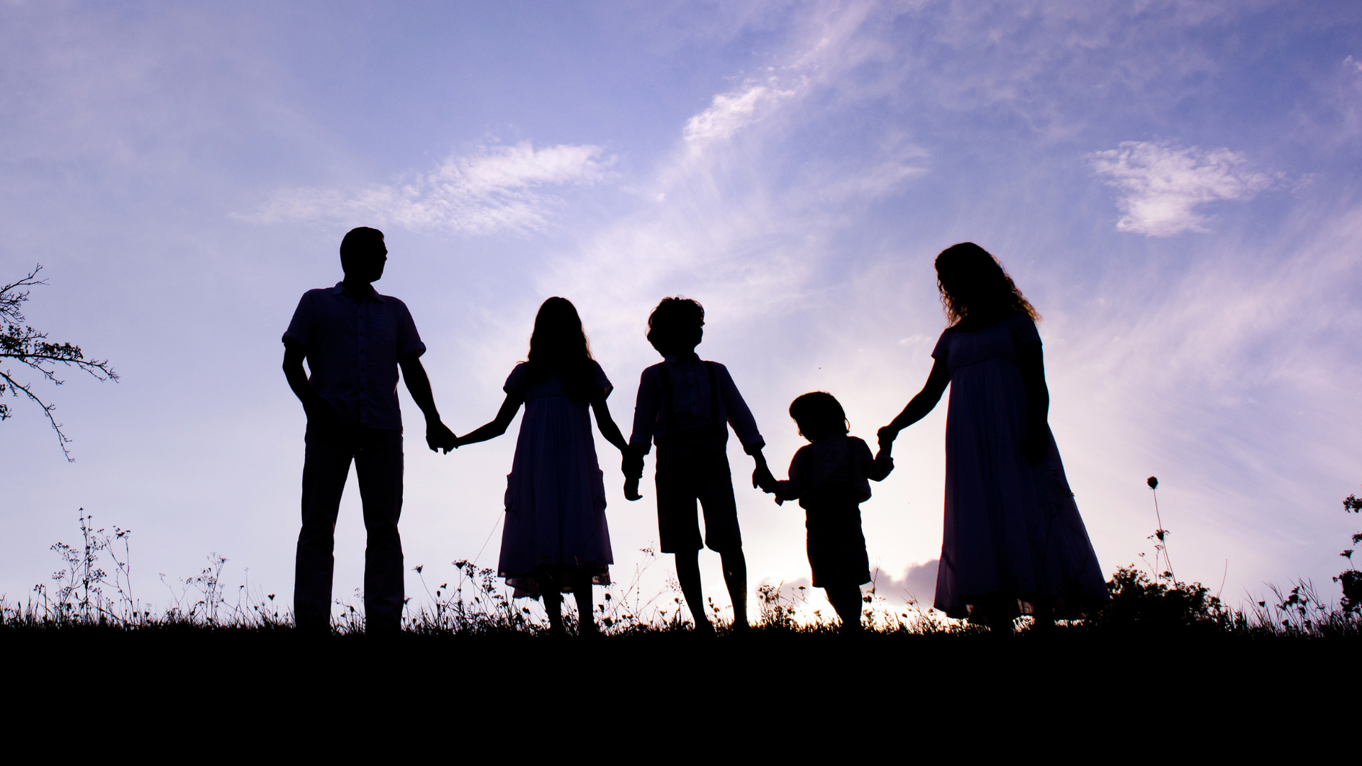 Immigration Counseling Service