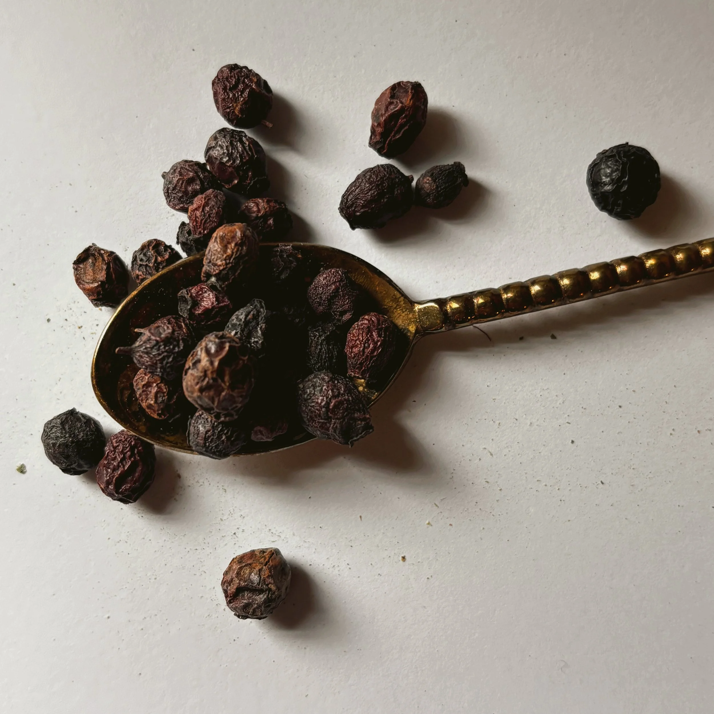 Hawthorn berries.JPEG