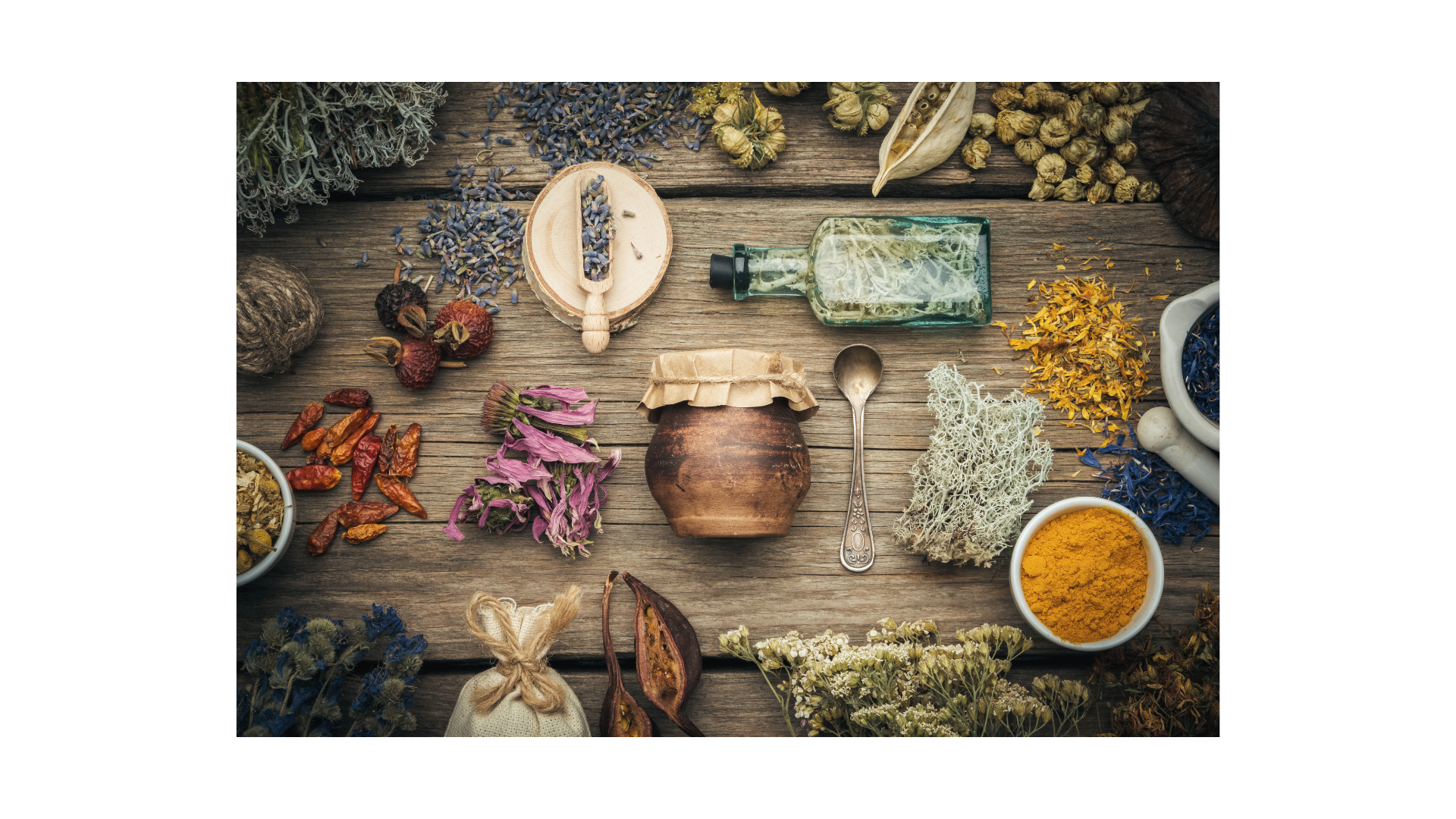 What Is Herbalism? A Return to the Wisdom of Plants &amp; the Body