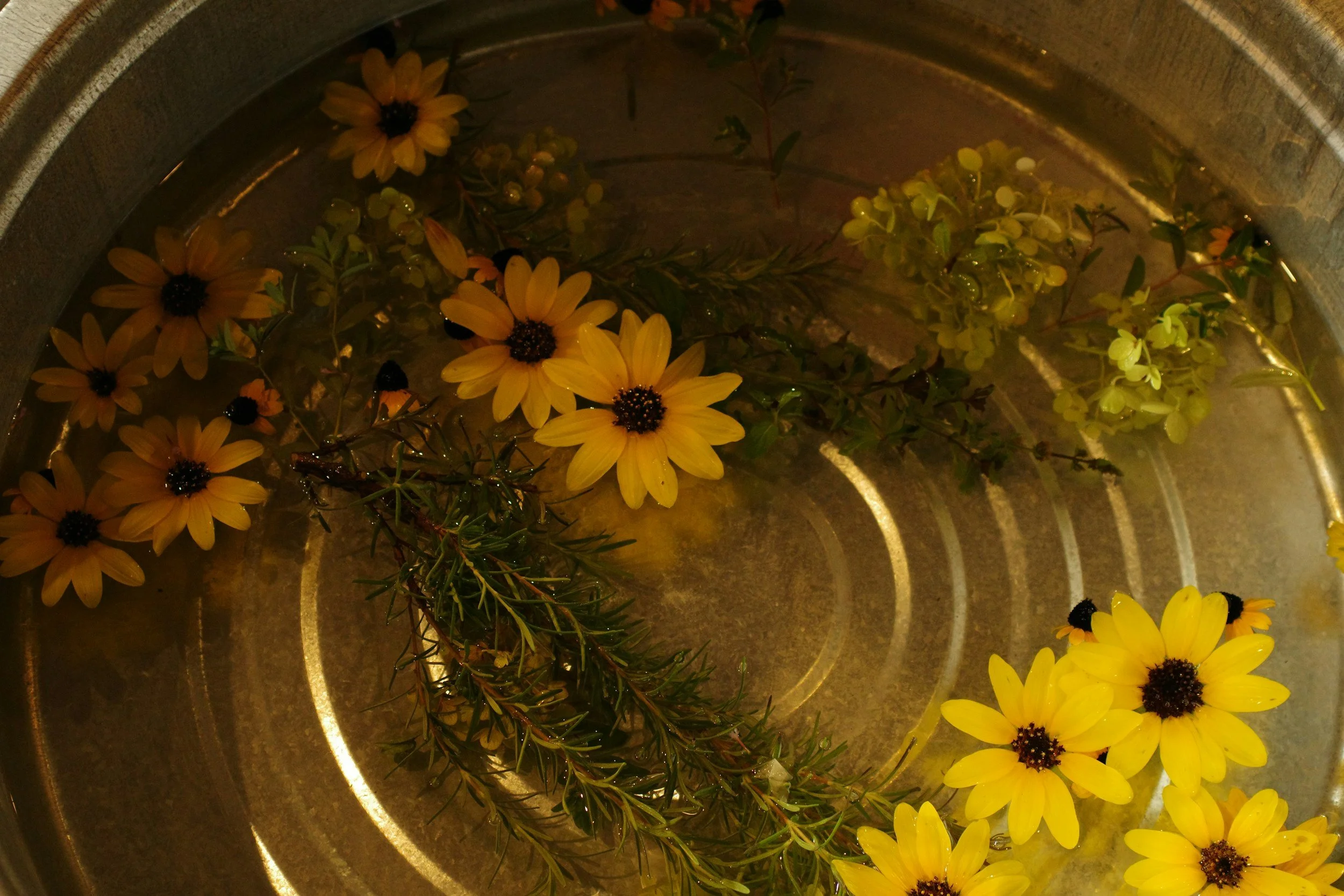 Herbs and flowers like rosemary steeping in a pot.