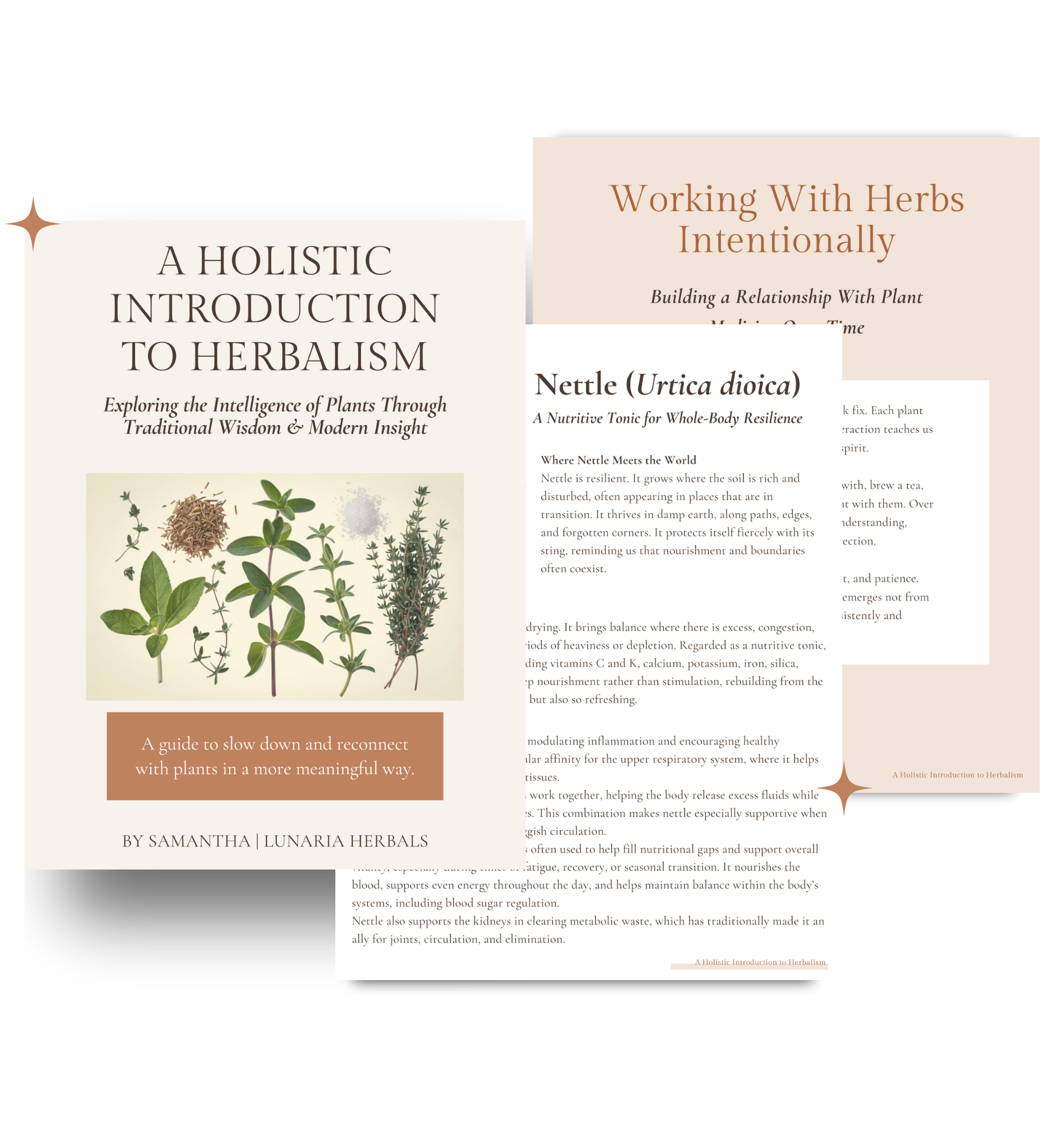 Free holistic herbalism guide and materia medica e-book exploring plant intelligence and herbal medicine