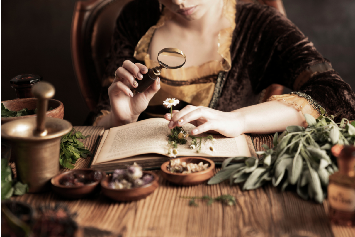 woman studying from a book of herbal medicine and plants with plants on the table in an apothecary.