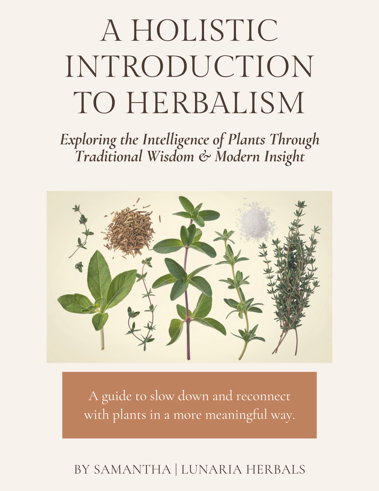Holistic Introduction to Herbalism Free E-Book