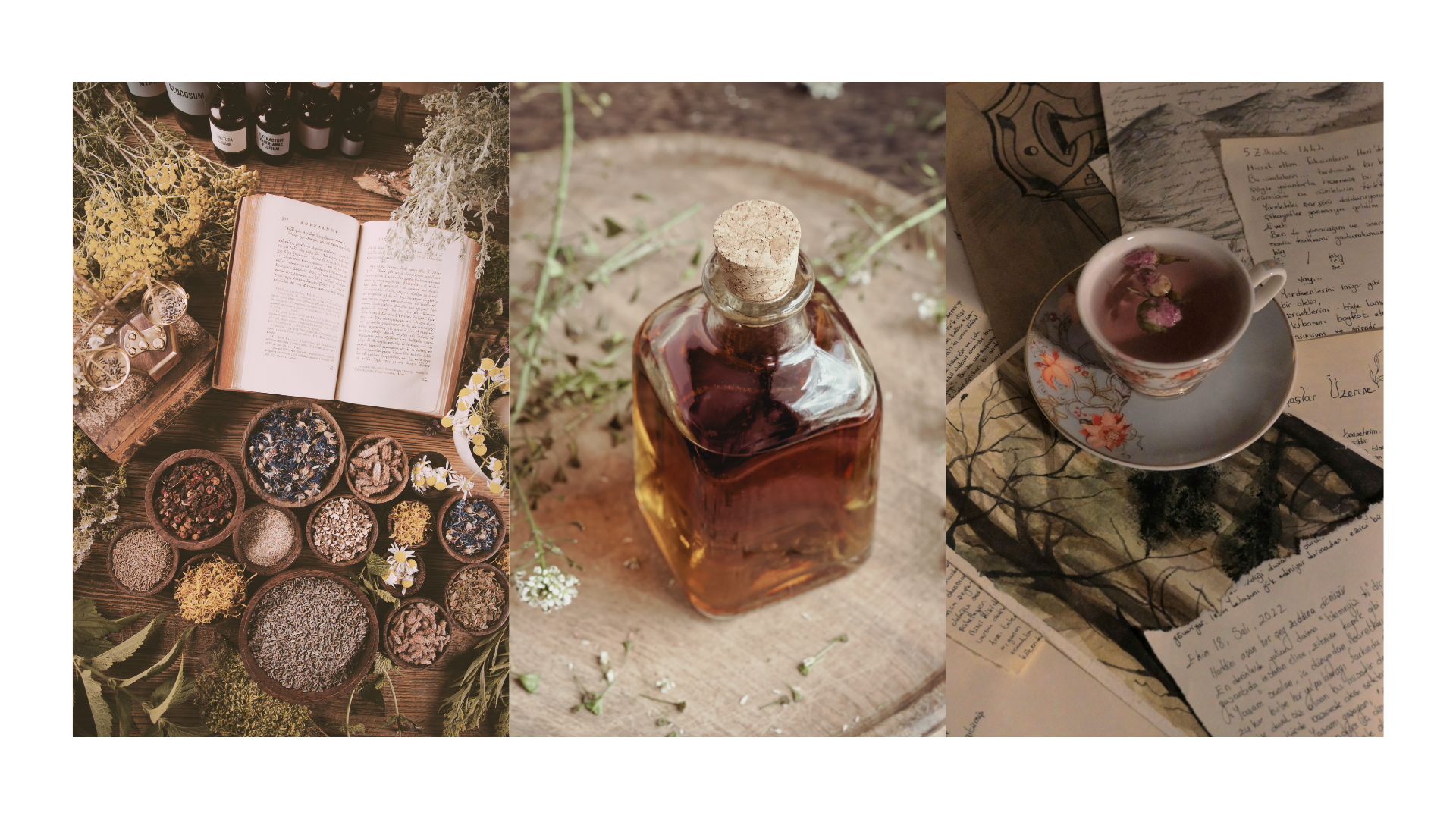 a collage of a book surrounded by loose herbs and plants and tinctures on a wood table, a glass bottle with a cork top with liquid on a table with dried flowers and a tea cup with tea and rose buds floating on top of loose art work and letters.
