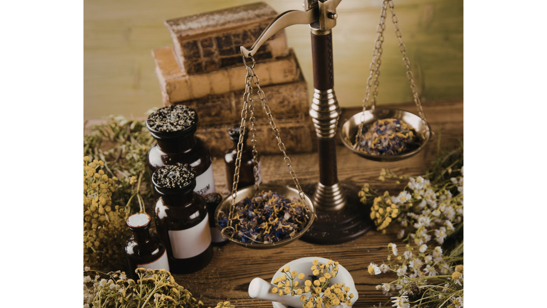 Herbs balancing on a scale in an apothecary with books.