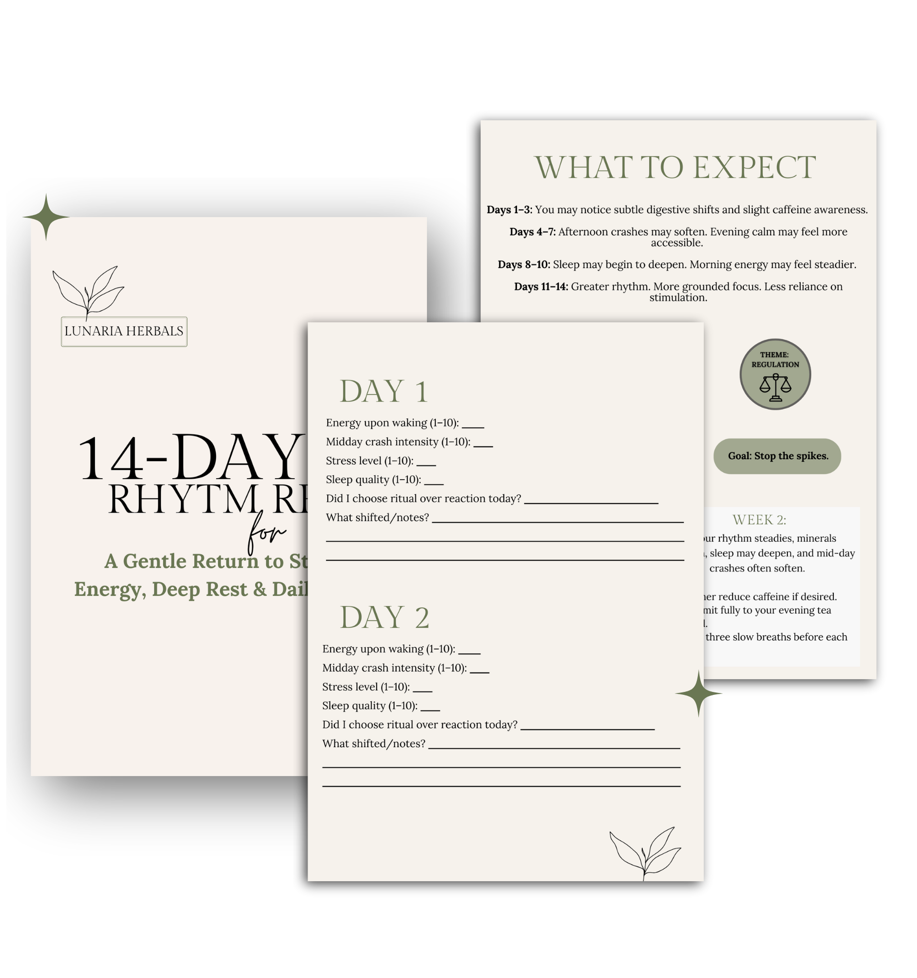 bundle mockup for email.png