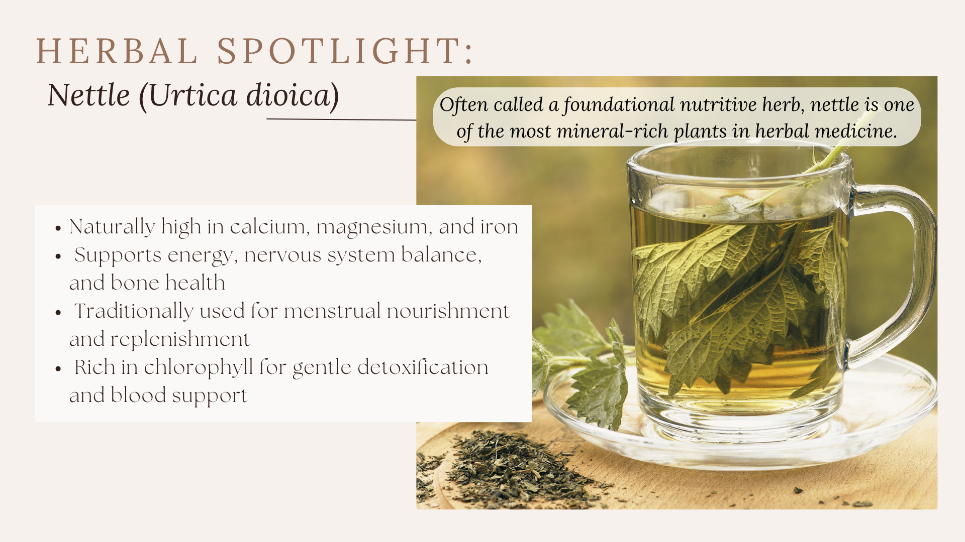 Mineral-rich nettle infusion used for natural energy and herbal nourishment